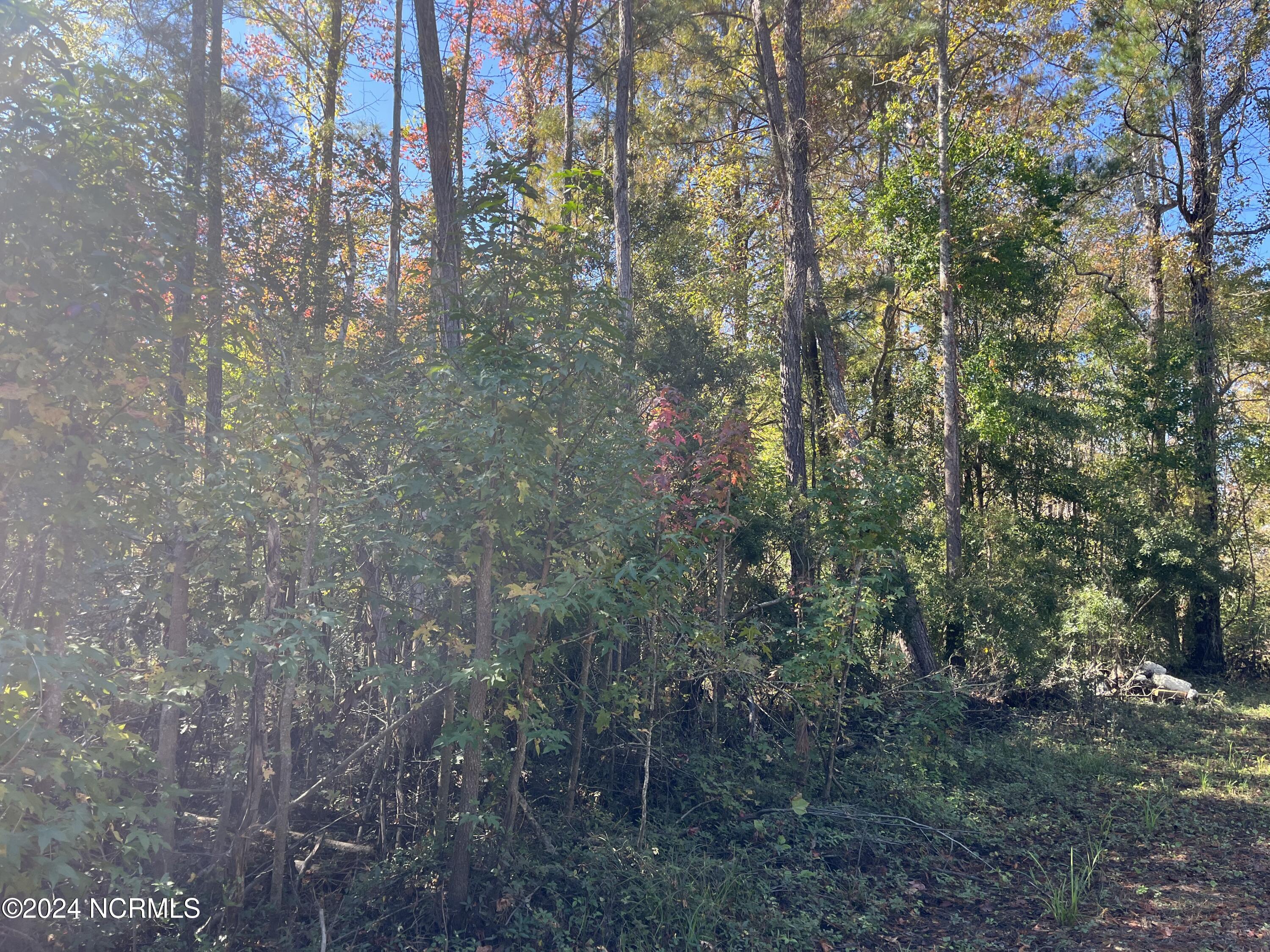 0 Canal Road Property Photo 7