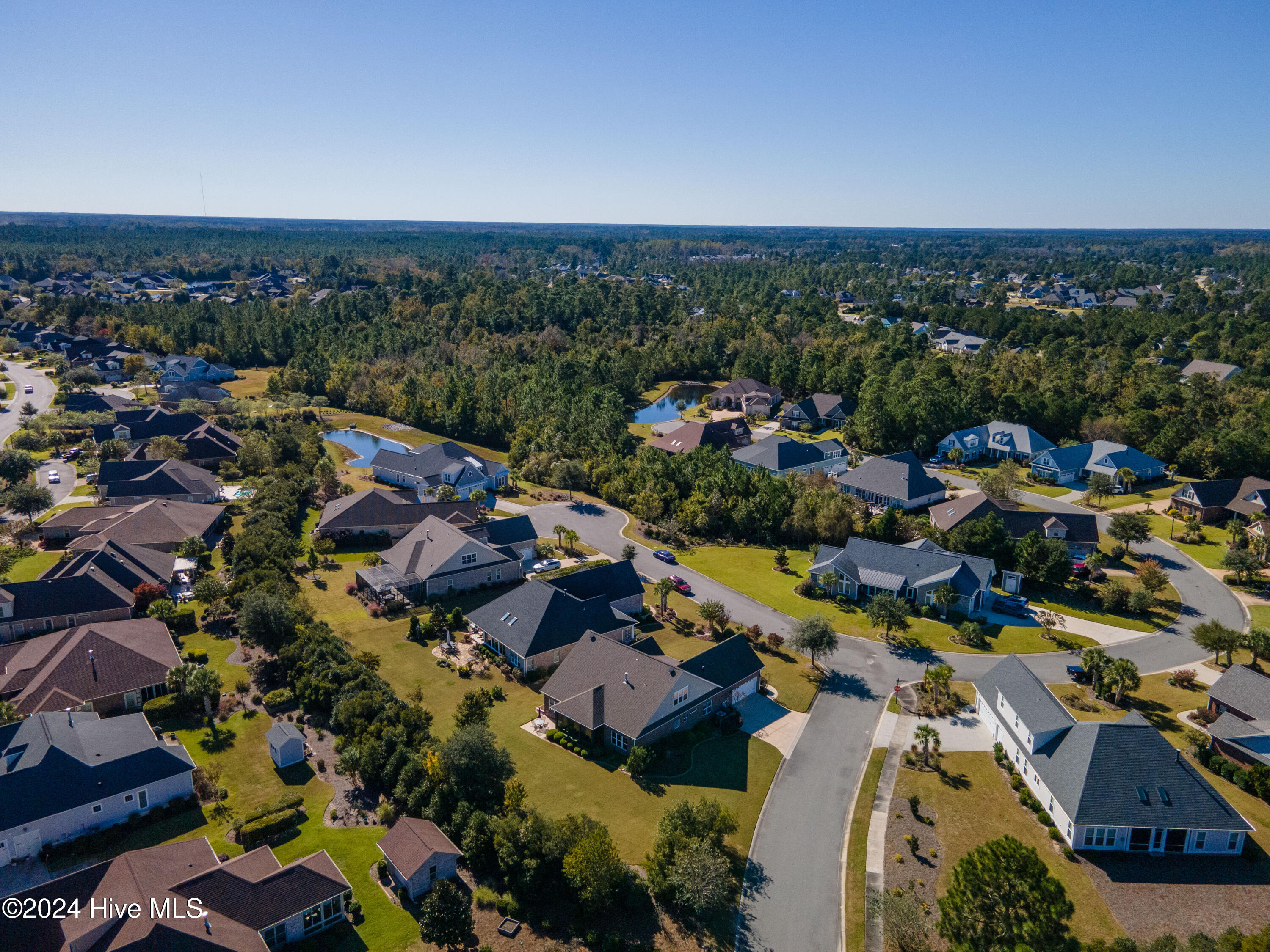 8416 Forest Crest Court Property Photo 49