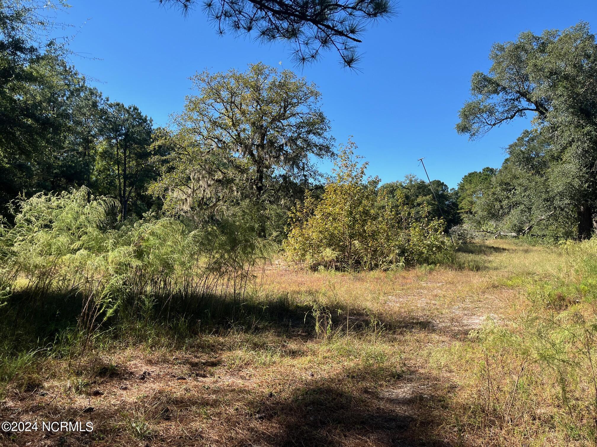 6715 Canetuck Road Property Photo 27