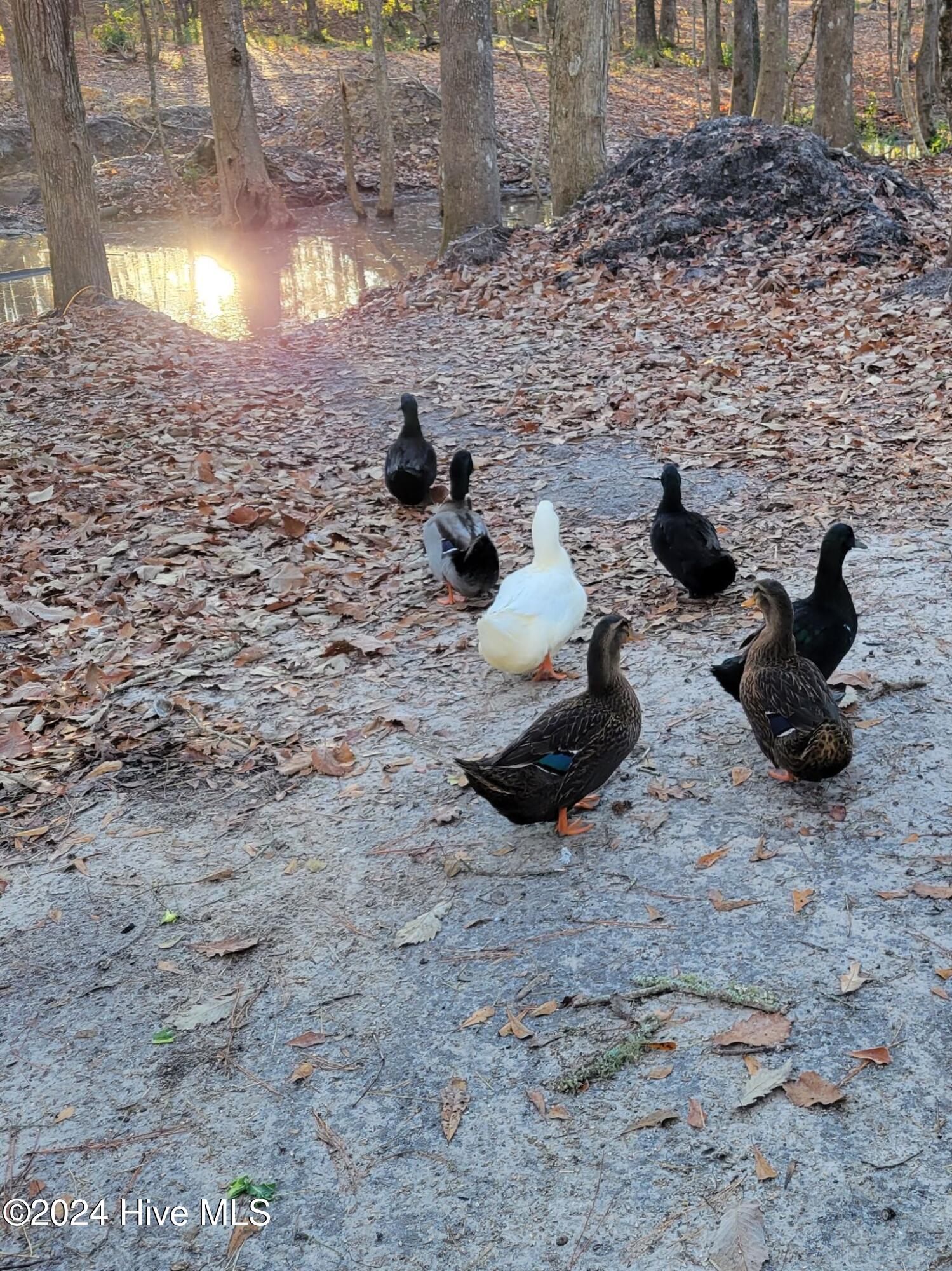 2794 Bee Tree Farm Trail Property Photo 41