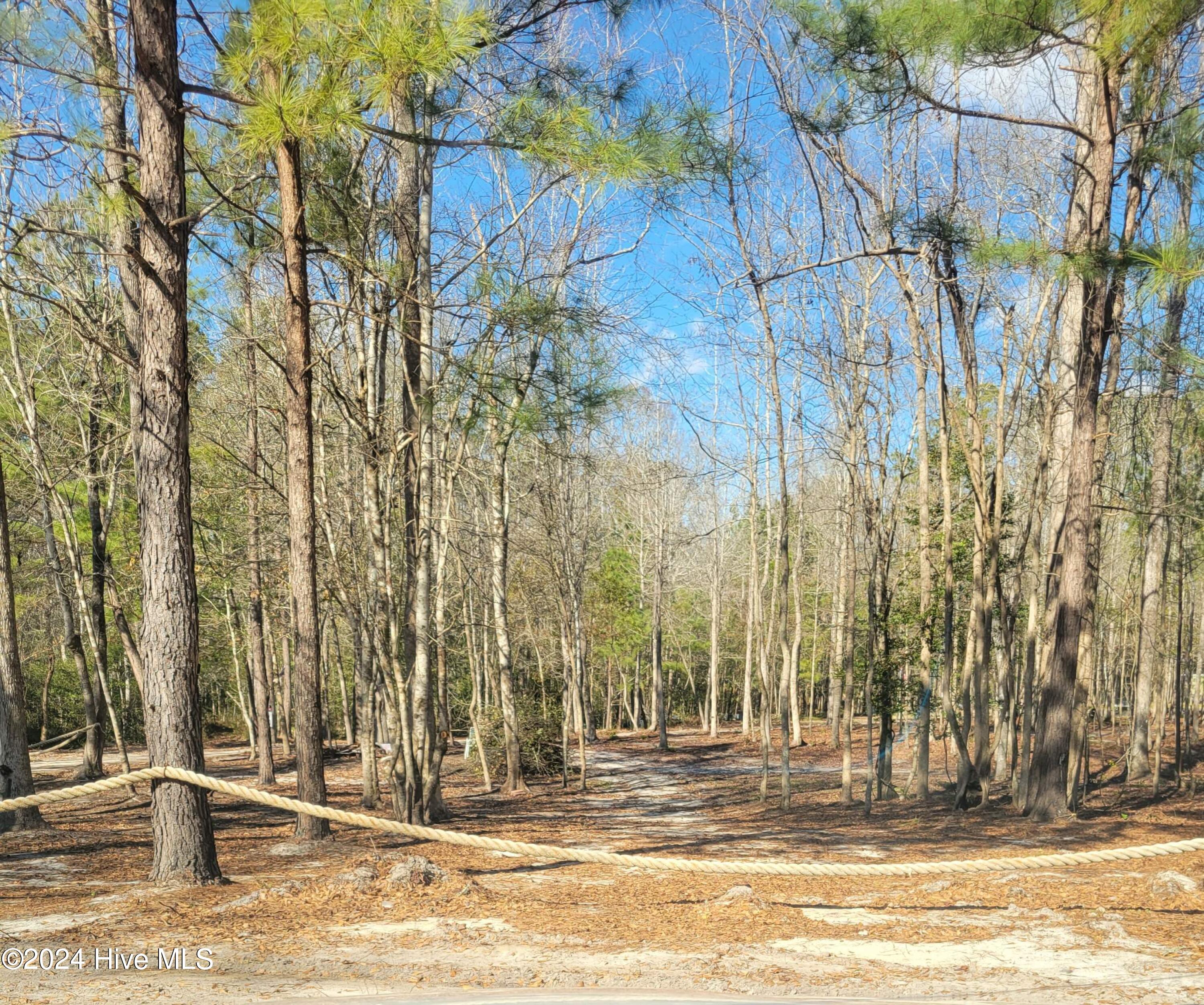 2794 Bee Tree Farm Trail Property Photo 42