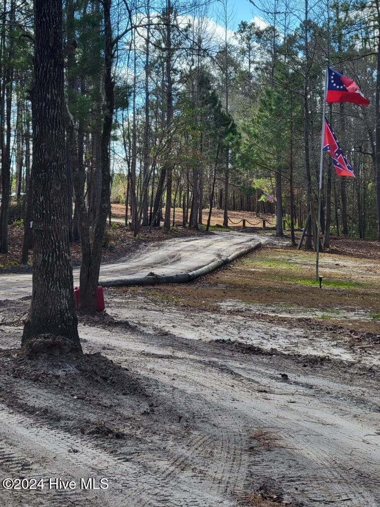 2794 Bee Tree Farm Trail Property Photo 46