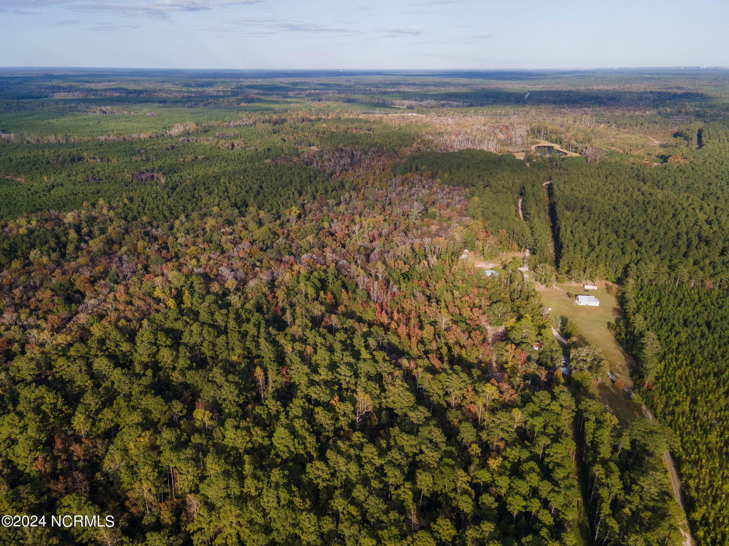 2794 Bee Tree Farm Trail Property Photo 53