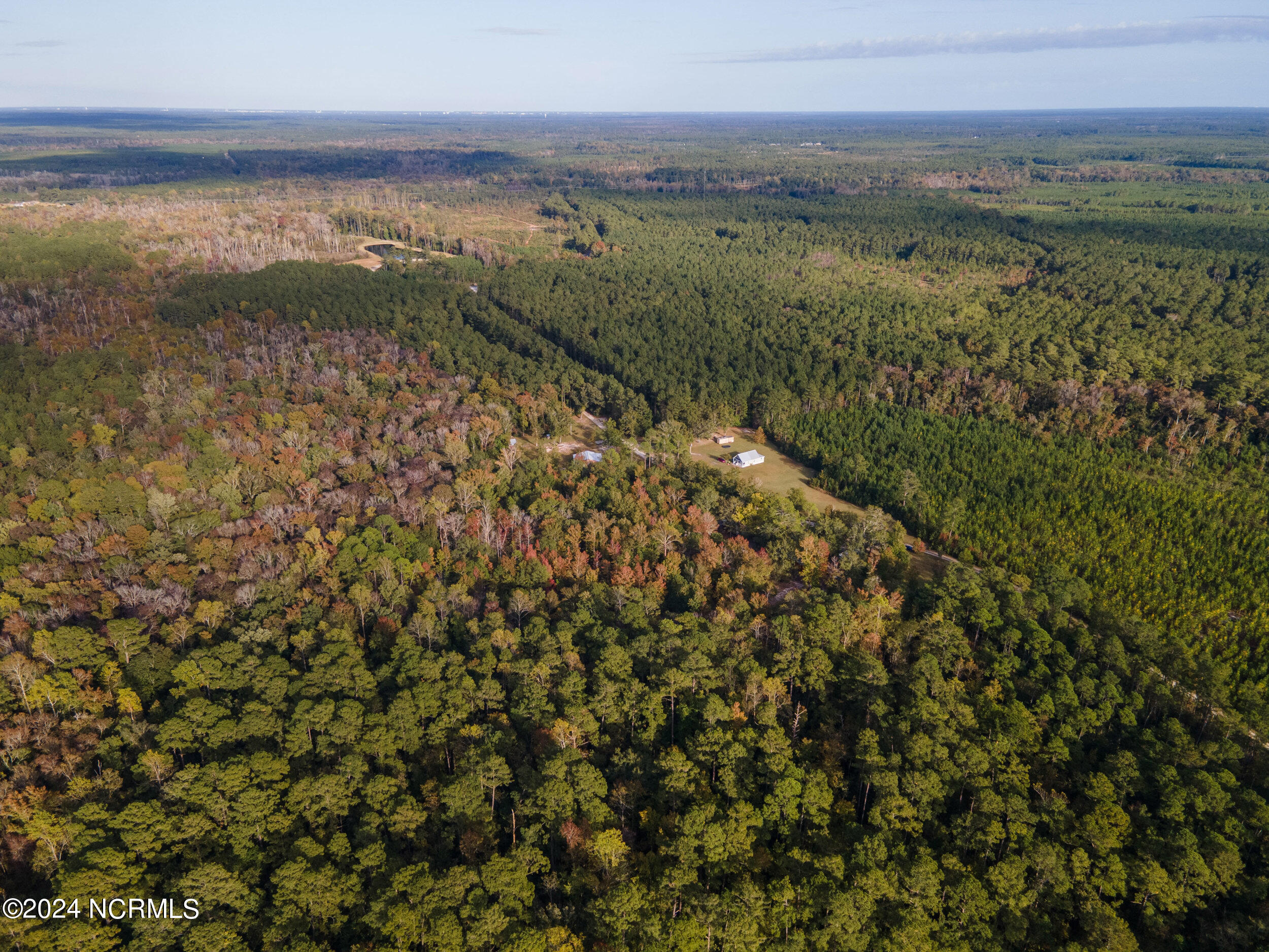 2794 Bee Tree Farm Trail Property Photo 54