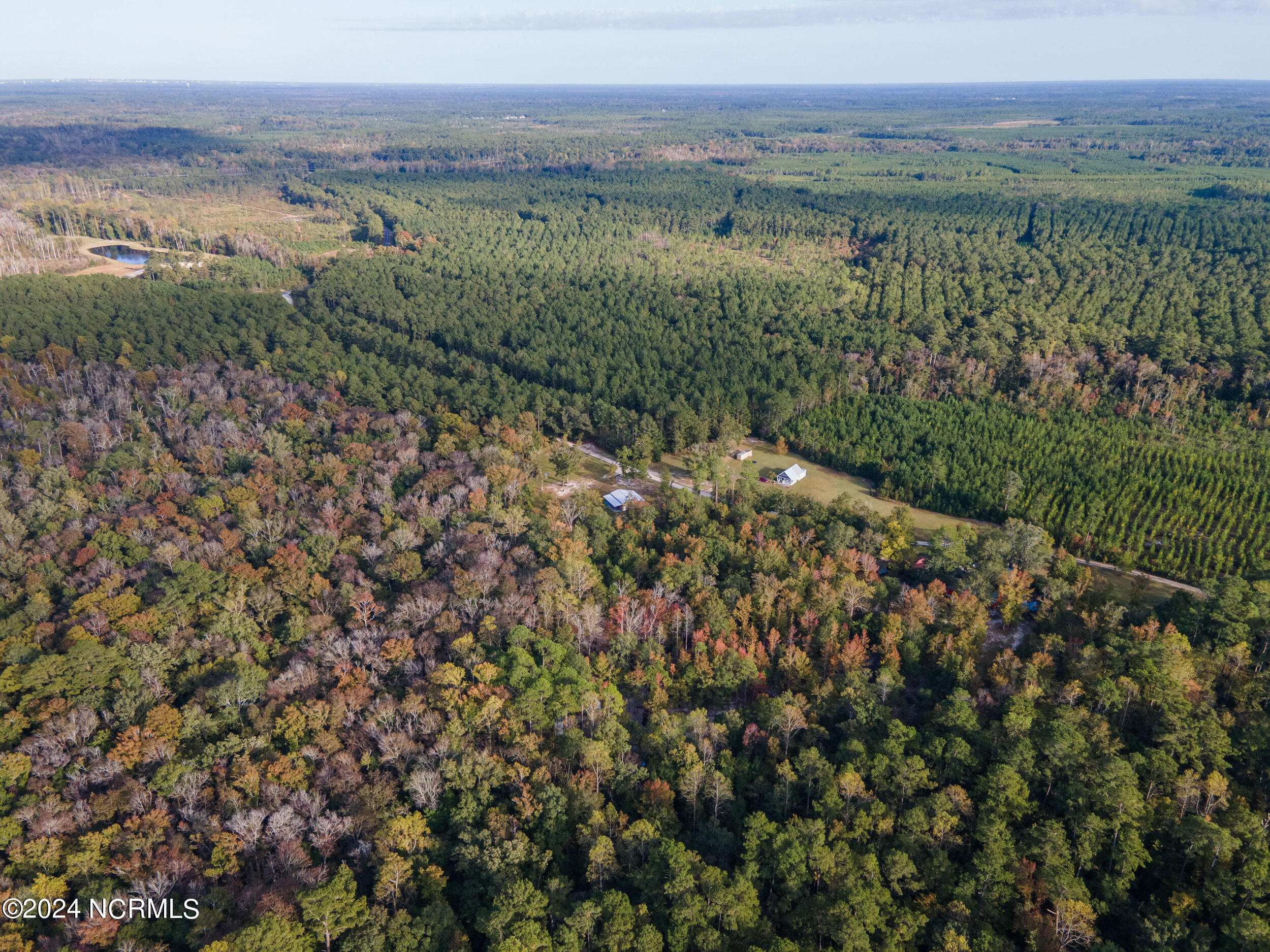 2794 Bee Tree Farm Trail Property Photo 55