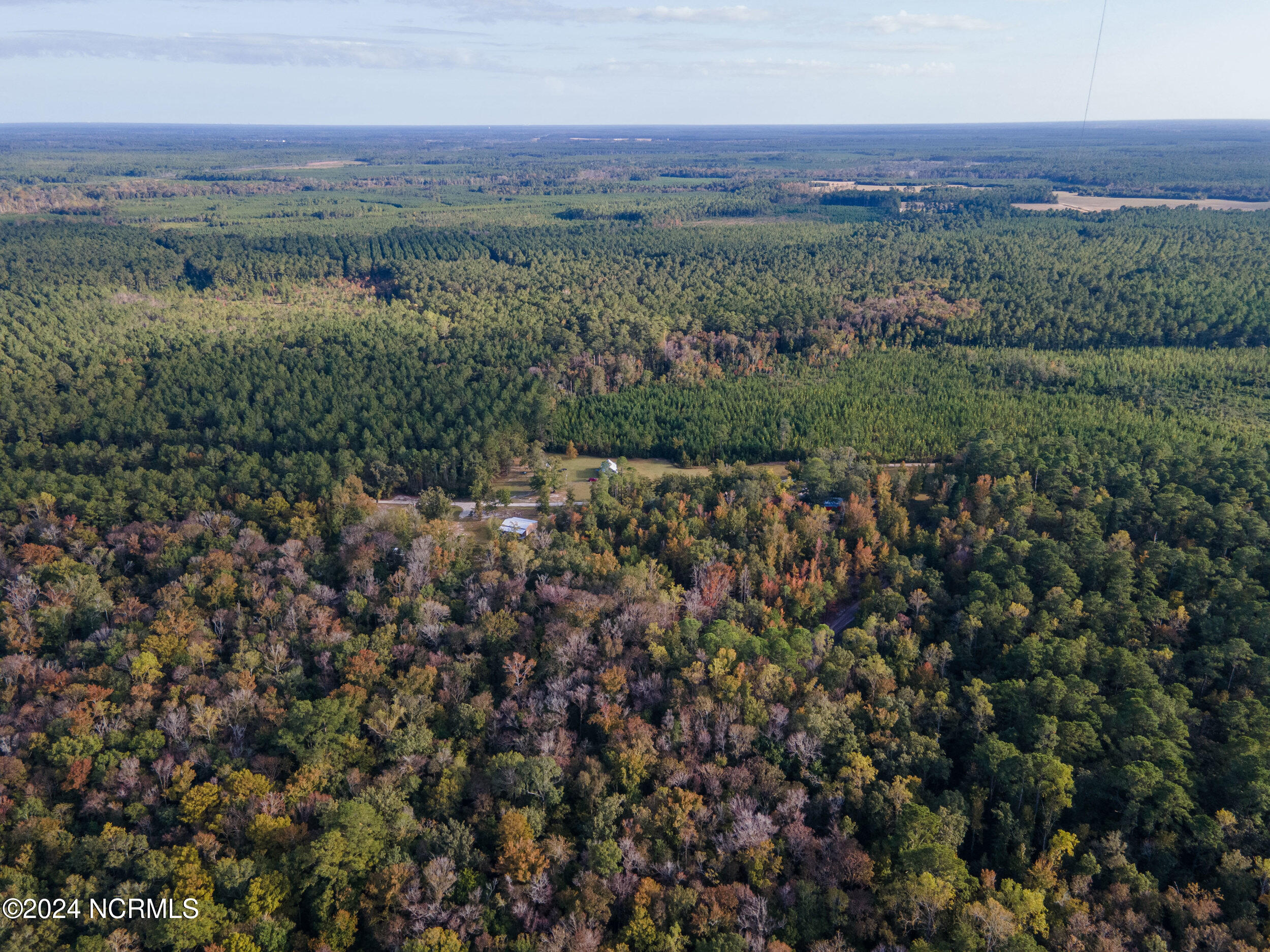 2794 Bee Tree Farm Trail Property Photo 56
