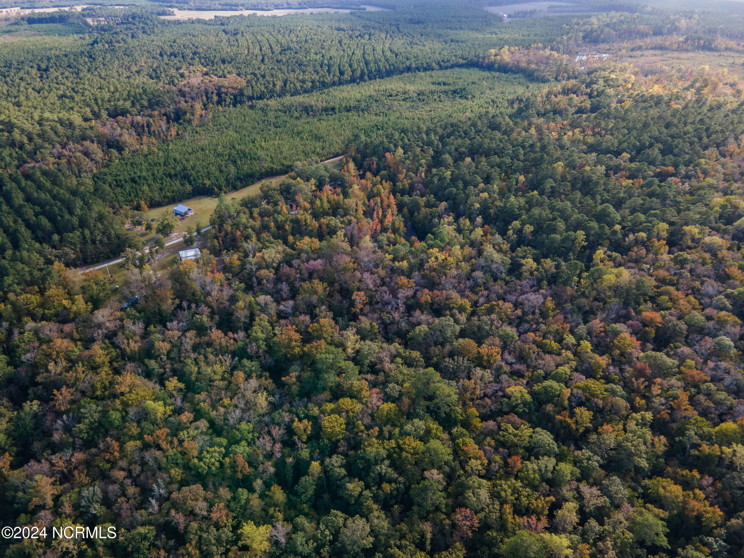 2794 Bee Tree Farm Trail Property Photo 58
