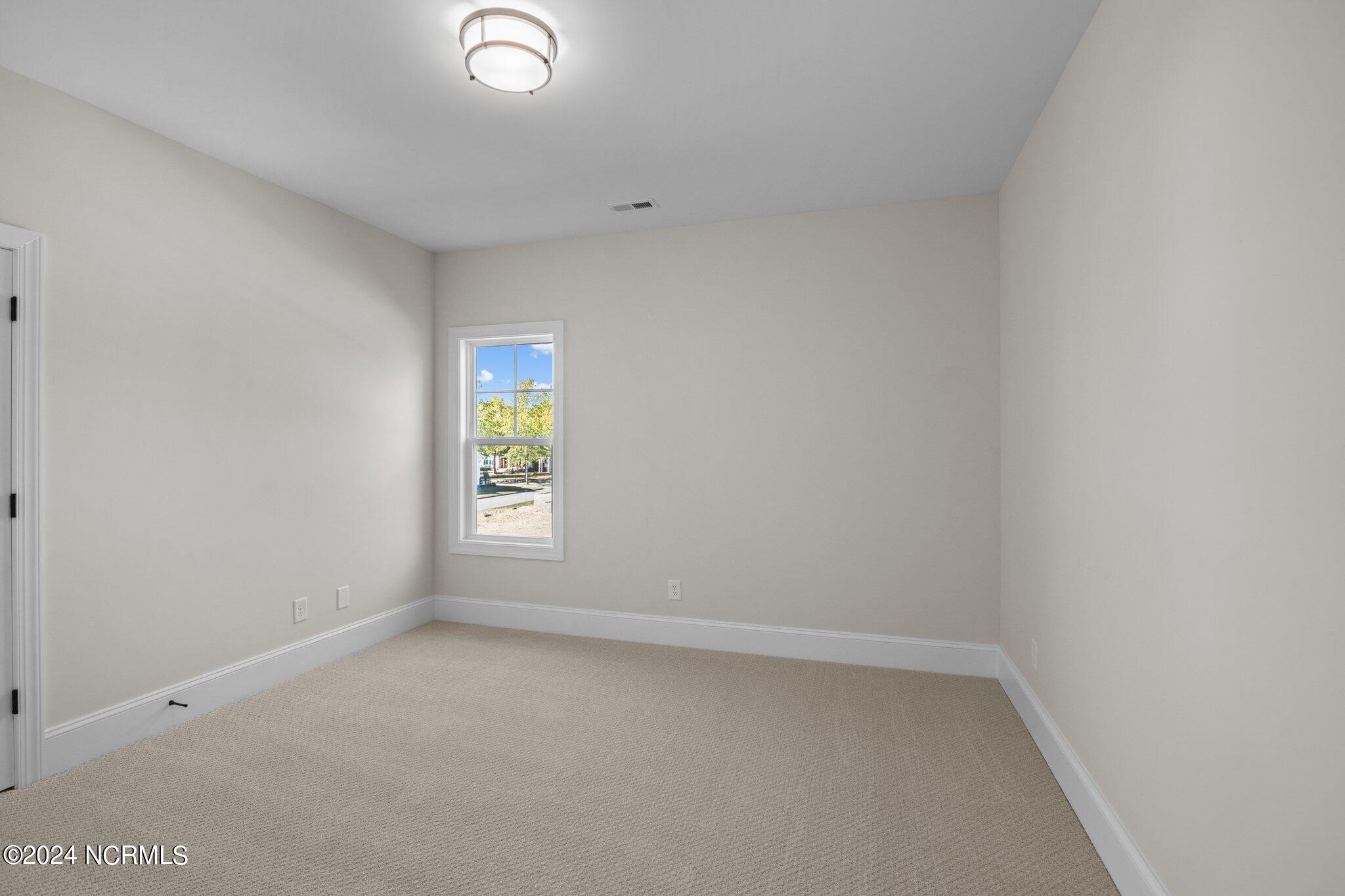3902 Reunion Pointe Lane Property Photo 59