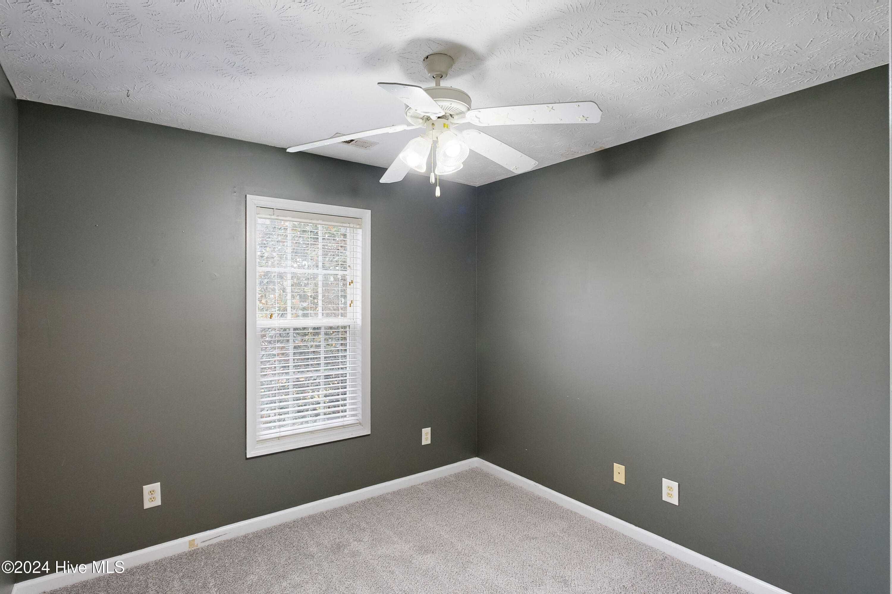 226 Rutherford Way Property Photo 24