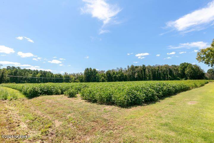 11270 Old Bailey Highway Property Photo 40