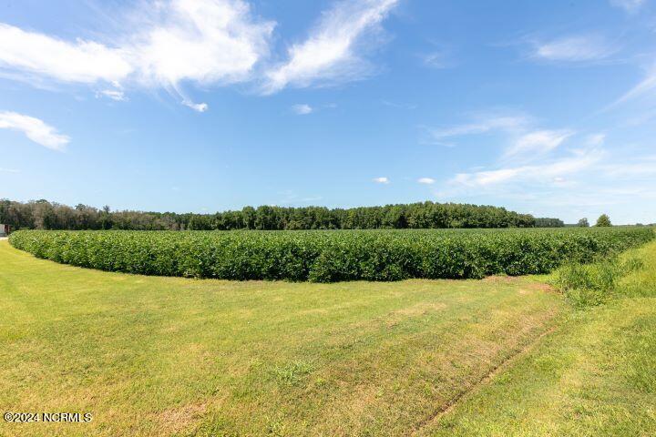 11270 Old Bailey Highway Property Photo 41