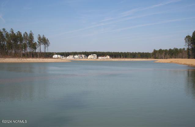 3904 Reunion Pointe Lane Property Photo 35