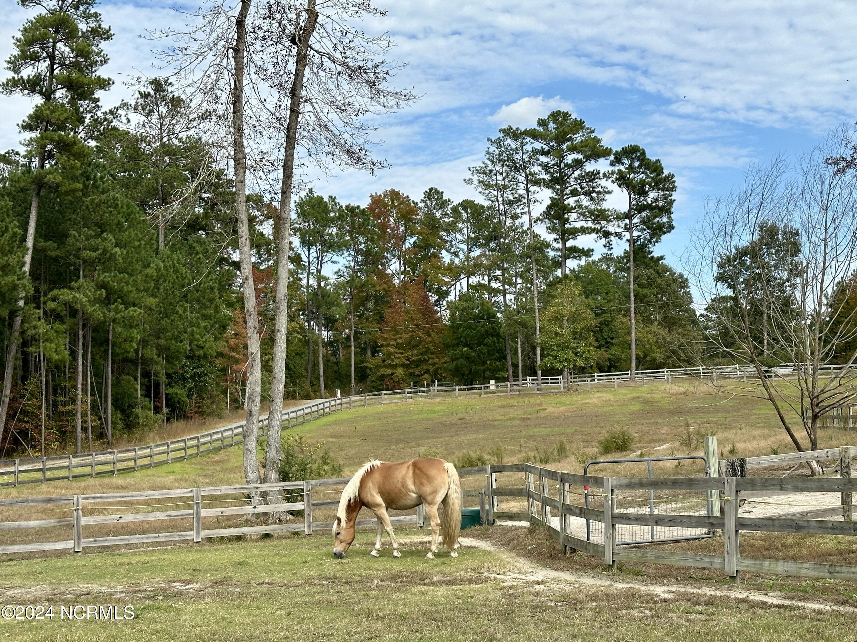 230 Causey Road Property Photo 42