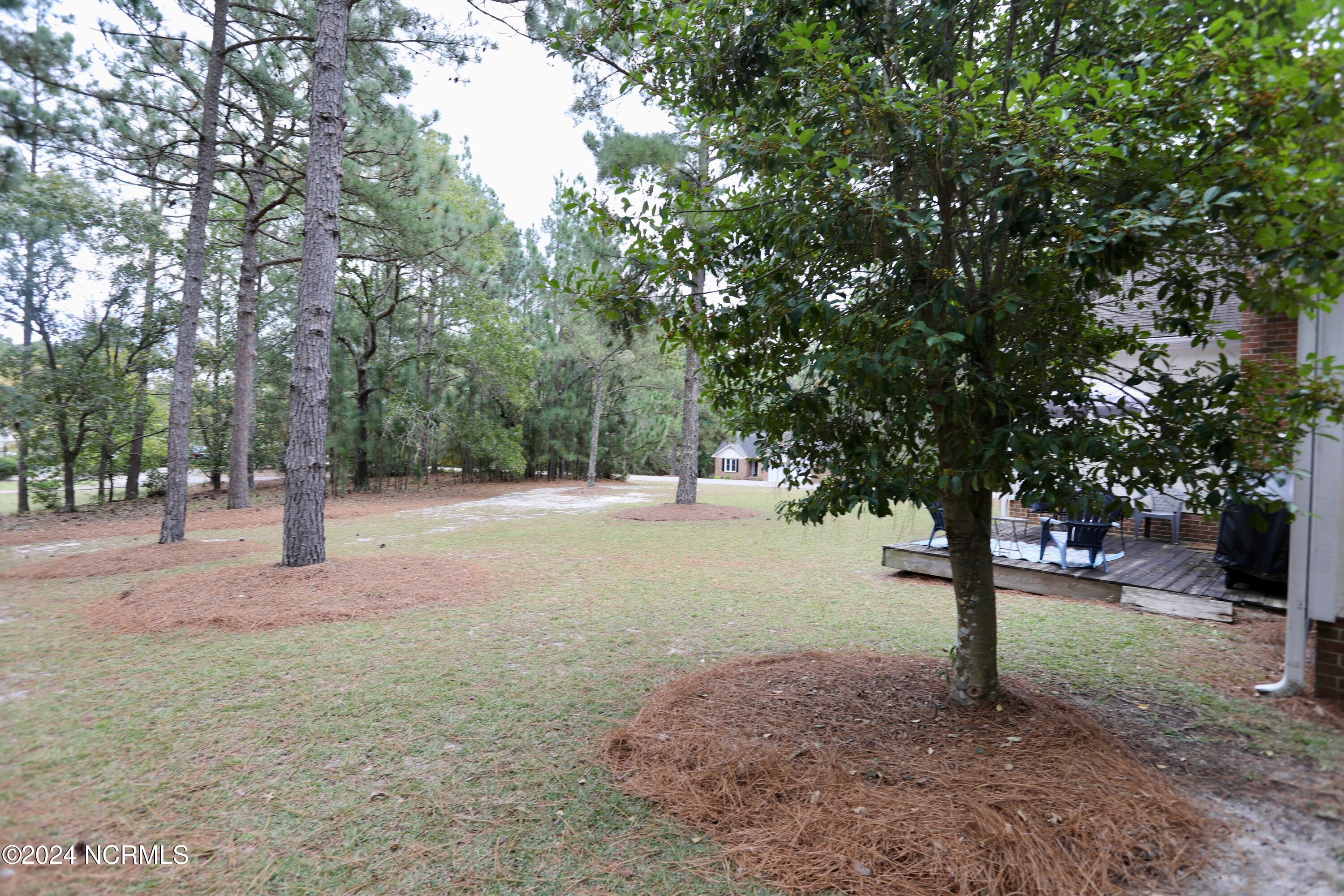 107 Dogwood Lane Property Photo 37