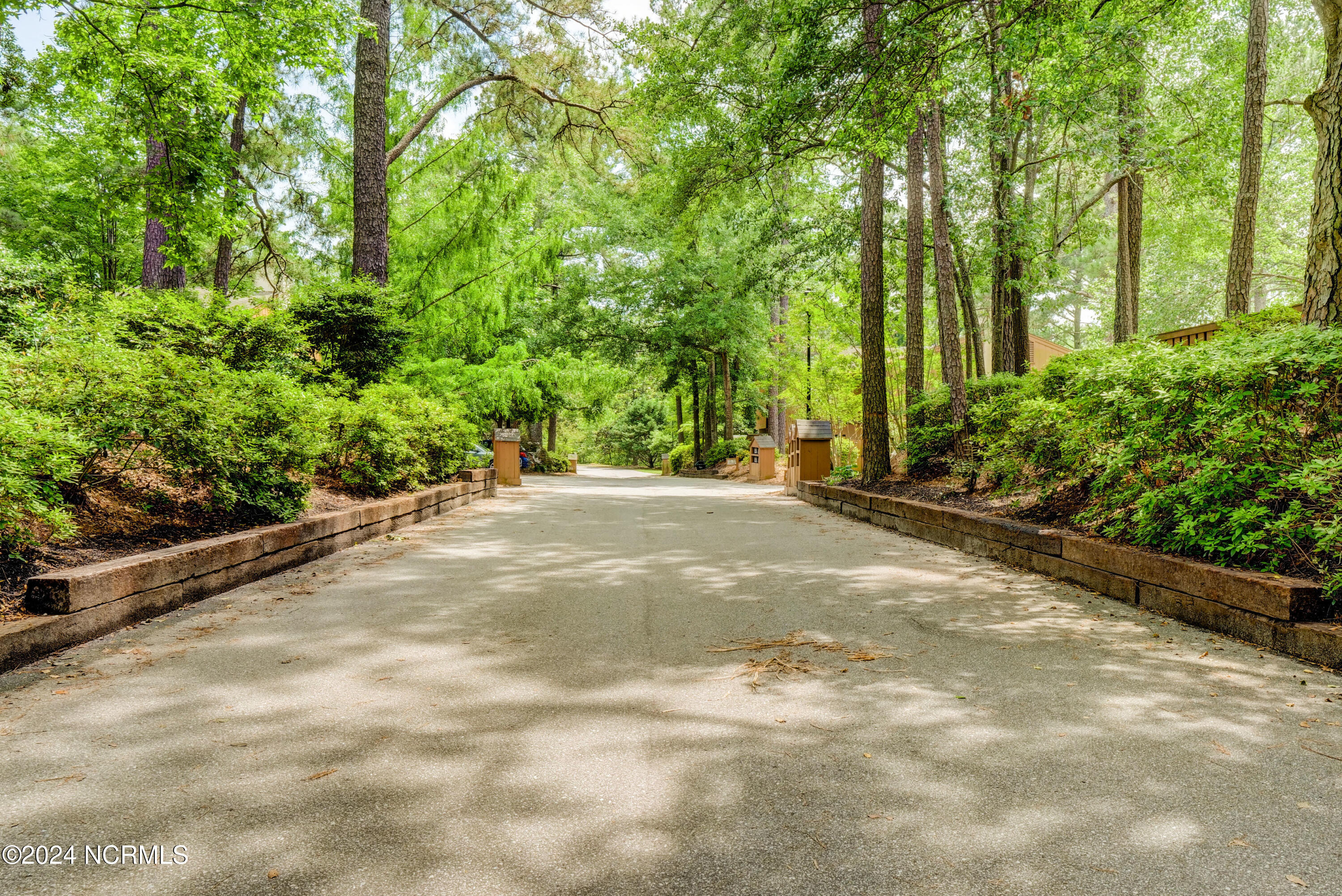 1018 Birch Creek Drive Property Photo 34