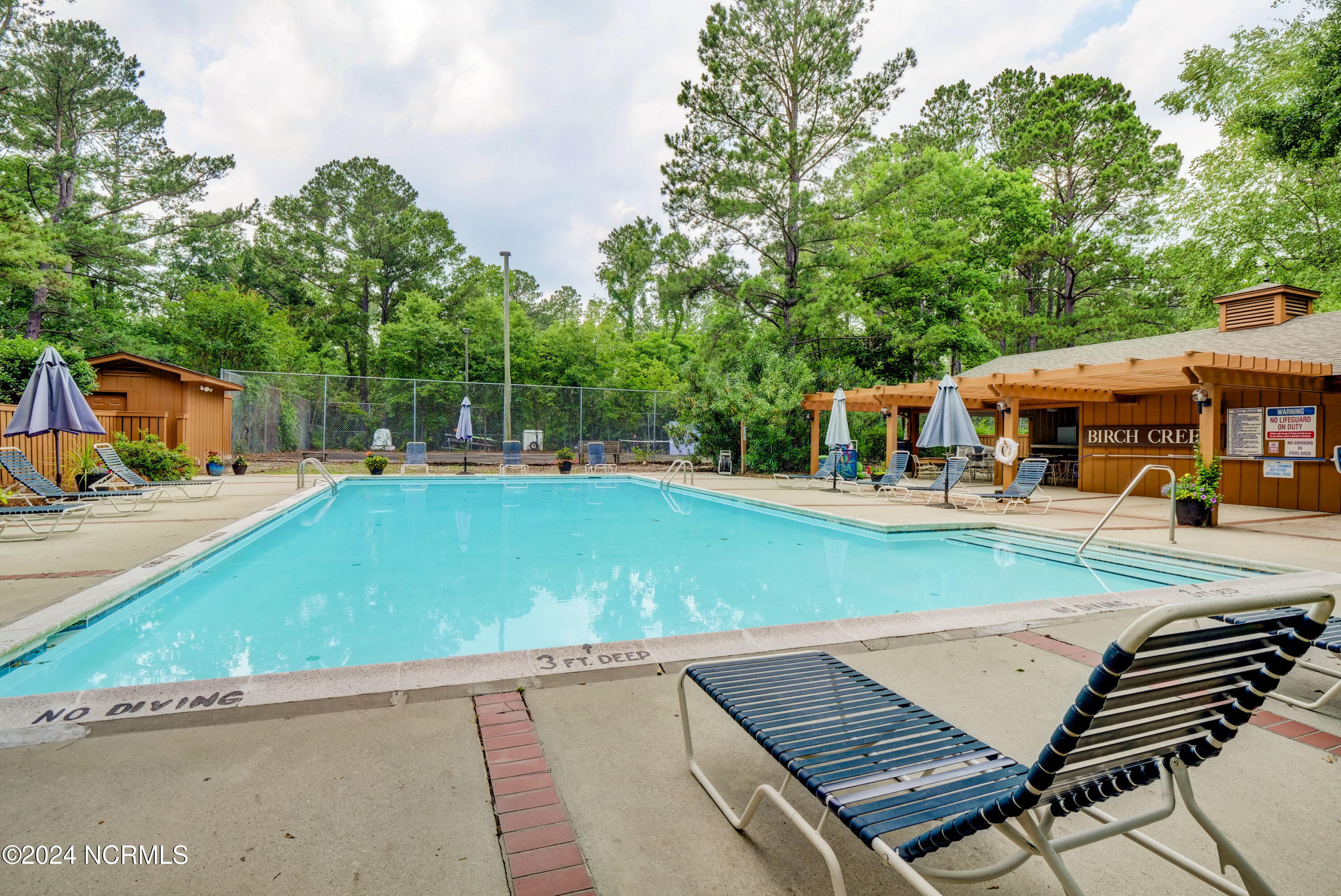 1018 Birch Creek Drive Property Photo 37