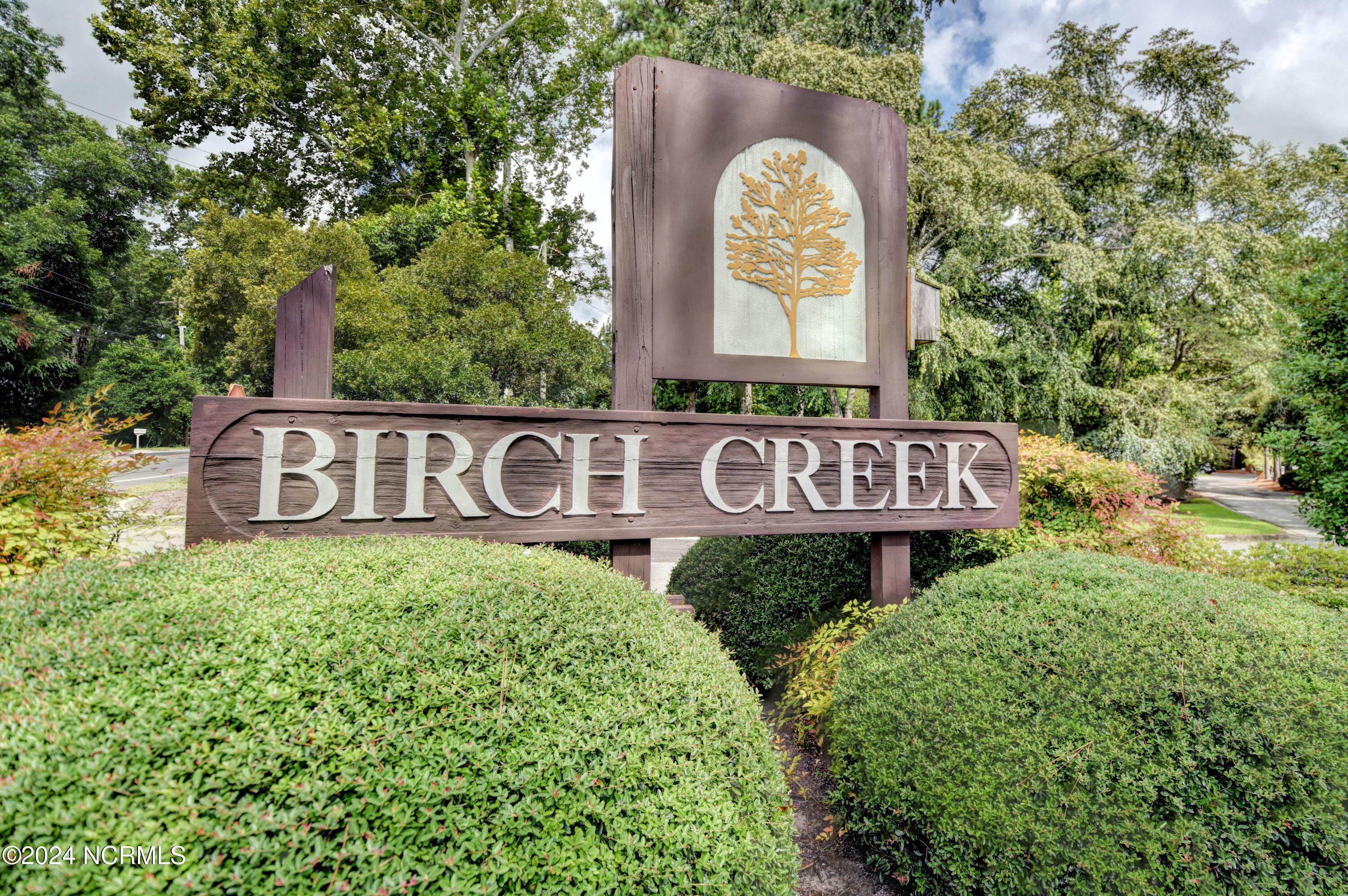 1018 Birch Creek Drive Property Photo 39