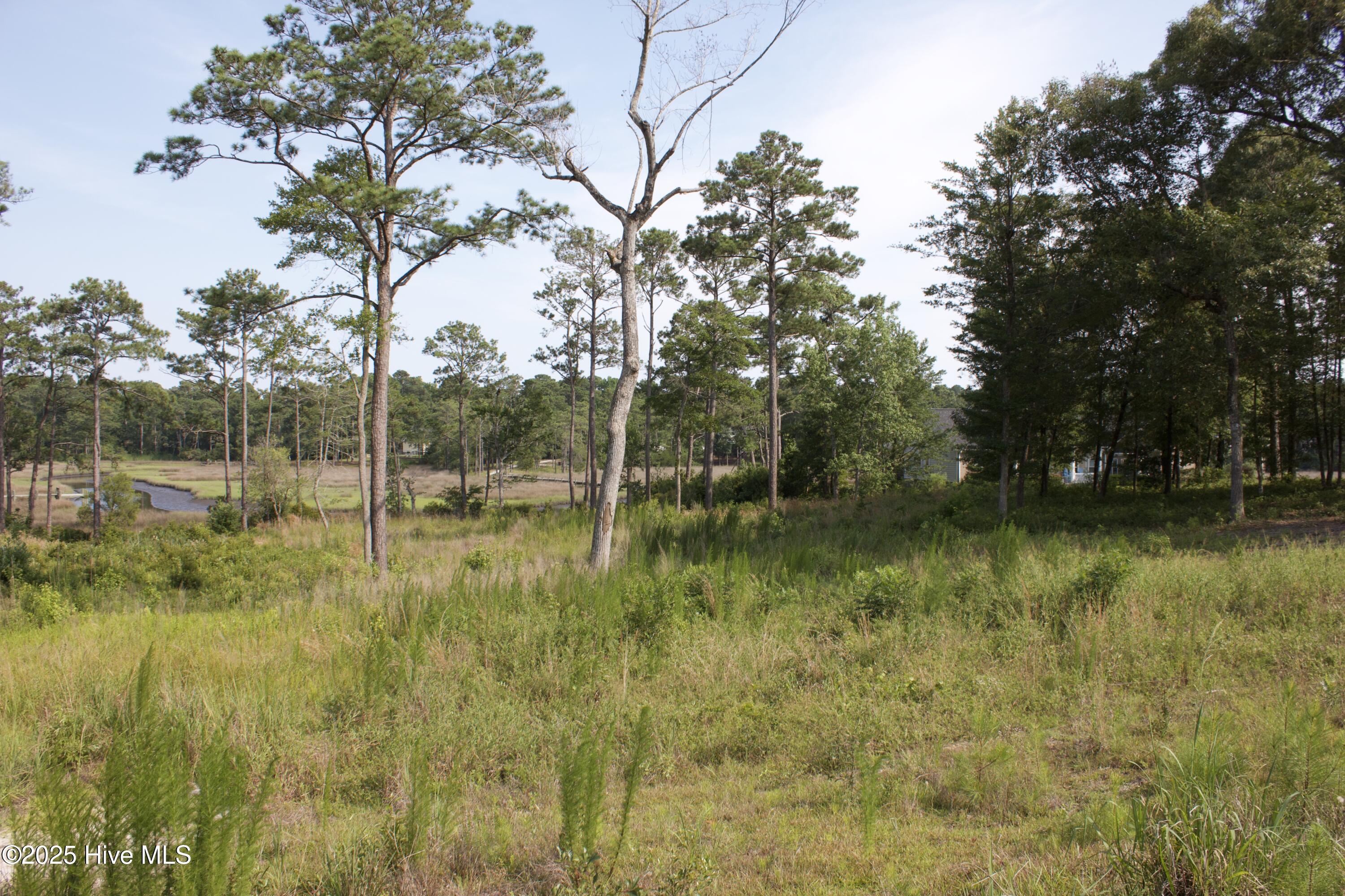 407 Salt Creek Road Property Photo 3