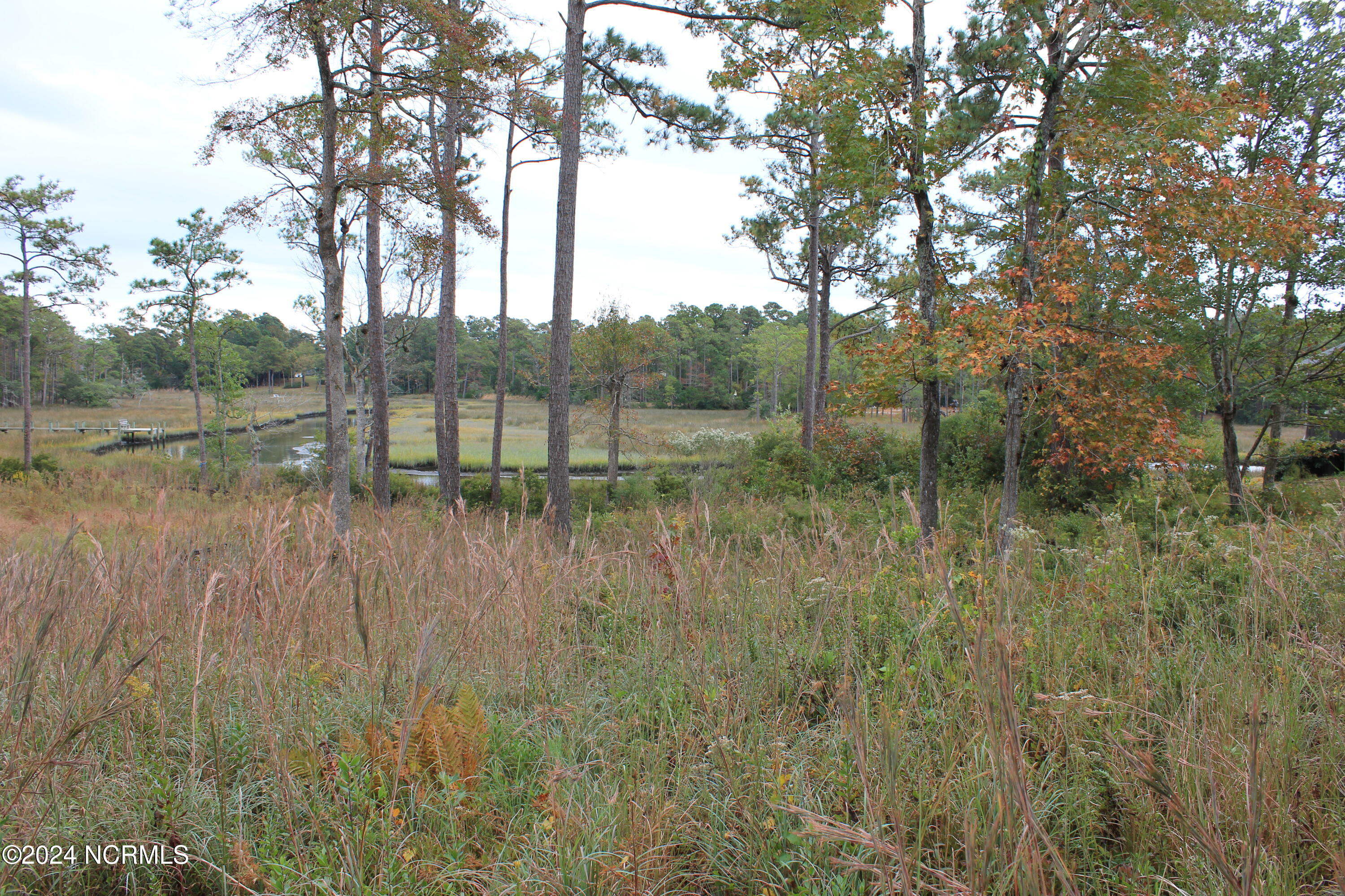 407 Salt Creek Road Property Photo 6