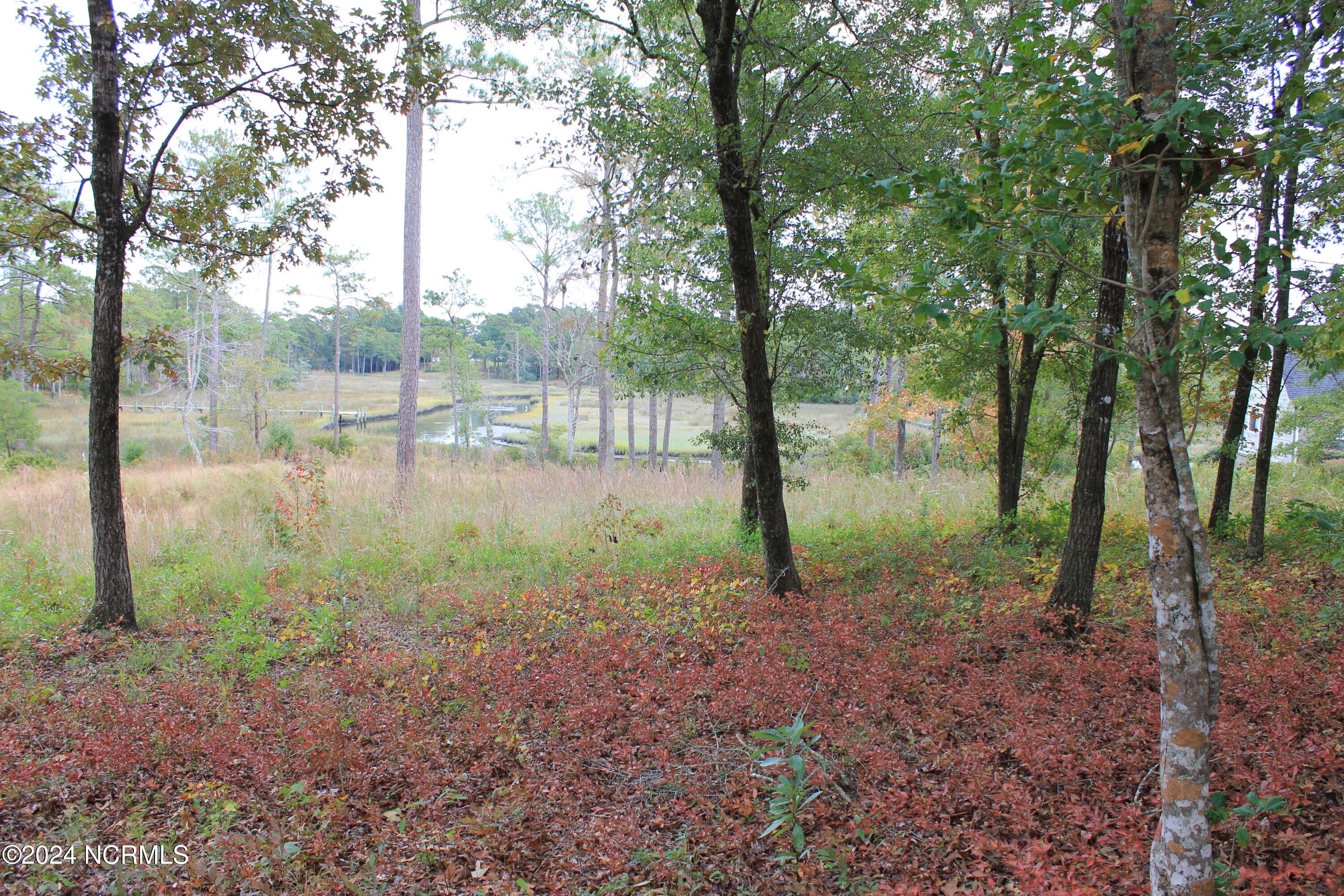 407 Salt Creek Road Property Photo 8