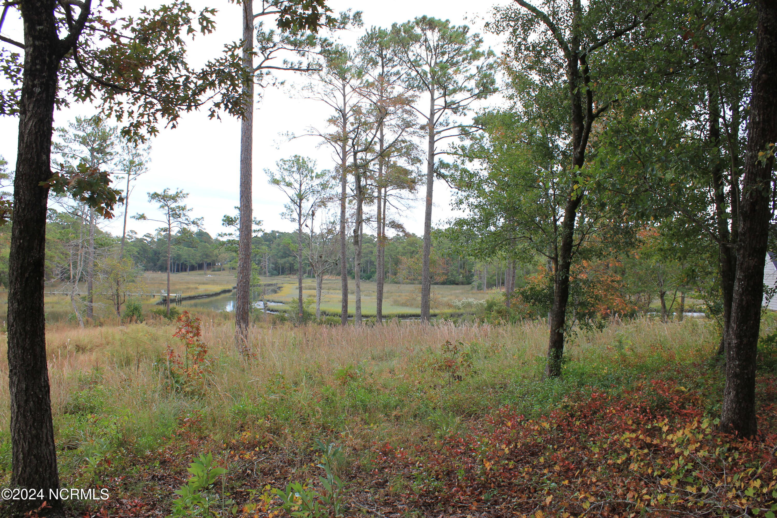 407 Salt Creek Road Property Photo 9