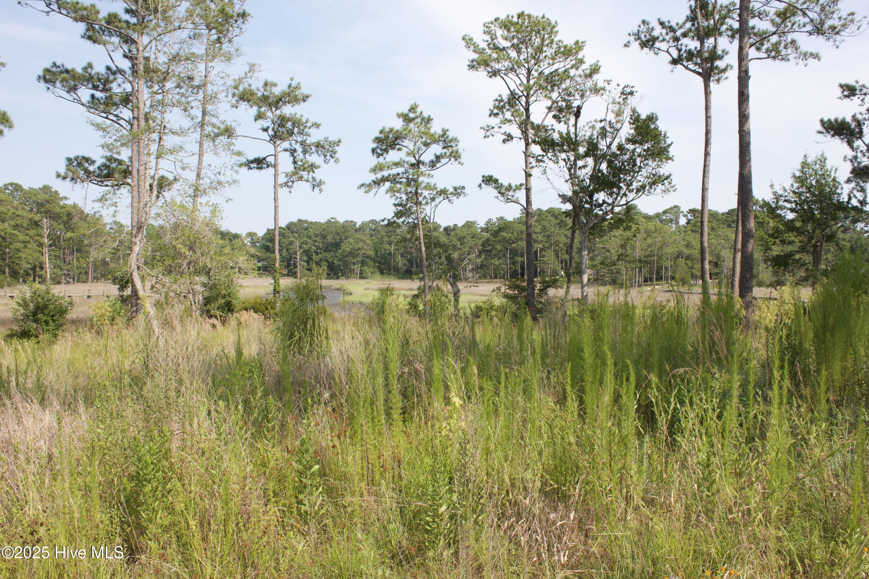 407 Salt Creek Road Property Photo 9