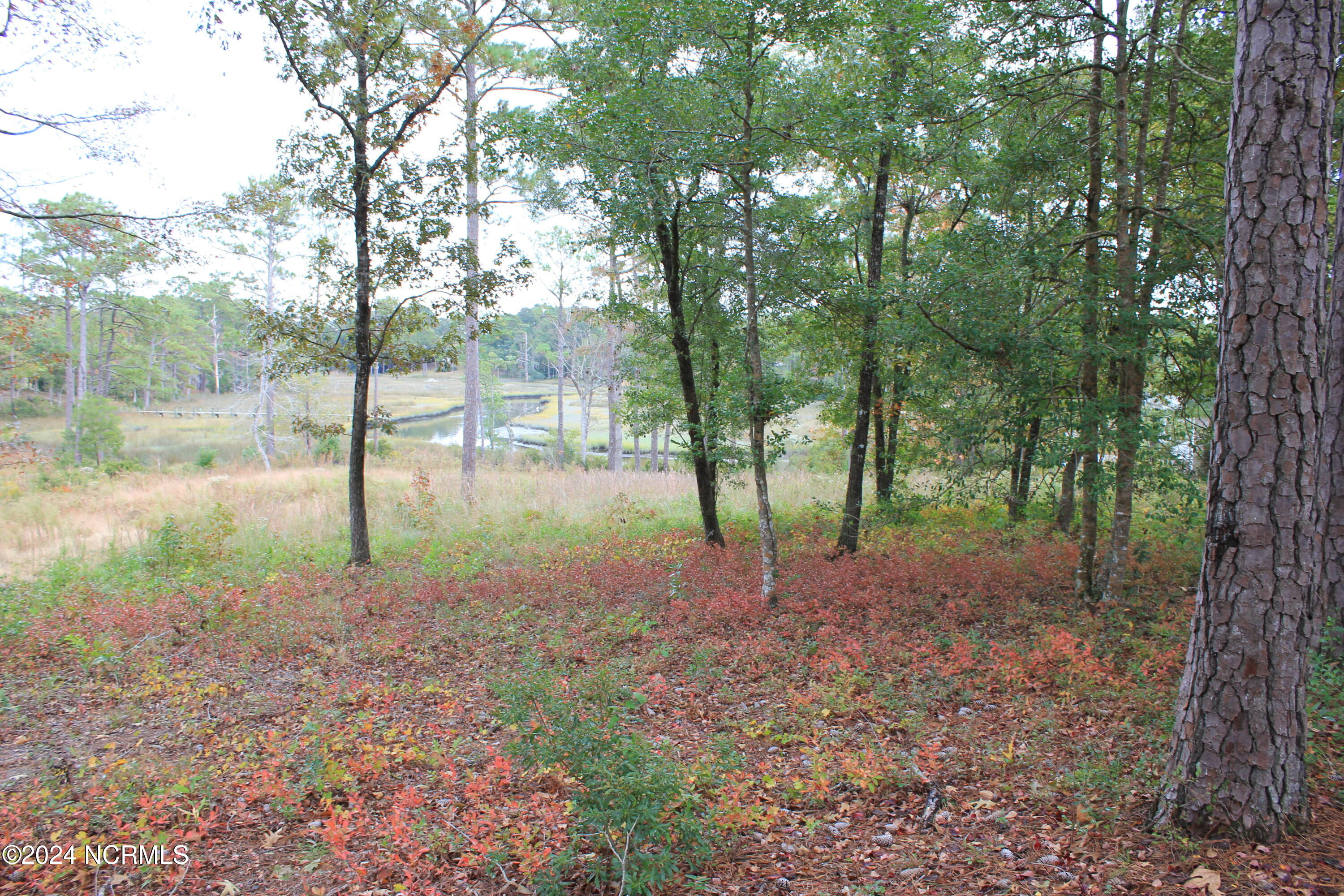 407 Salt Creek Road Property Photo 10