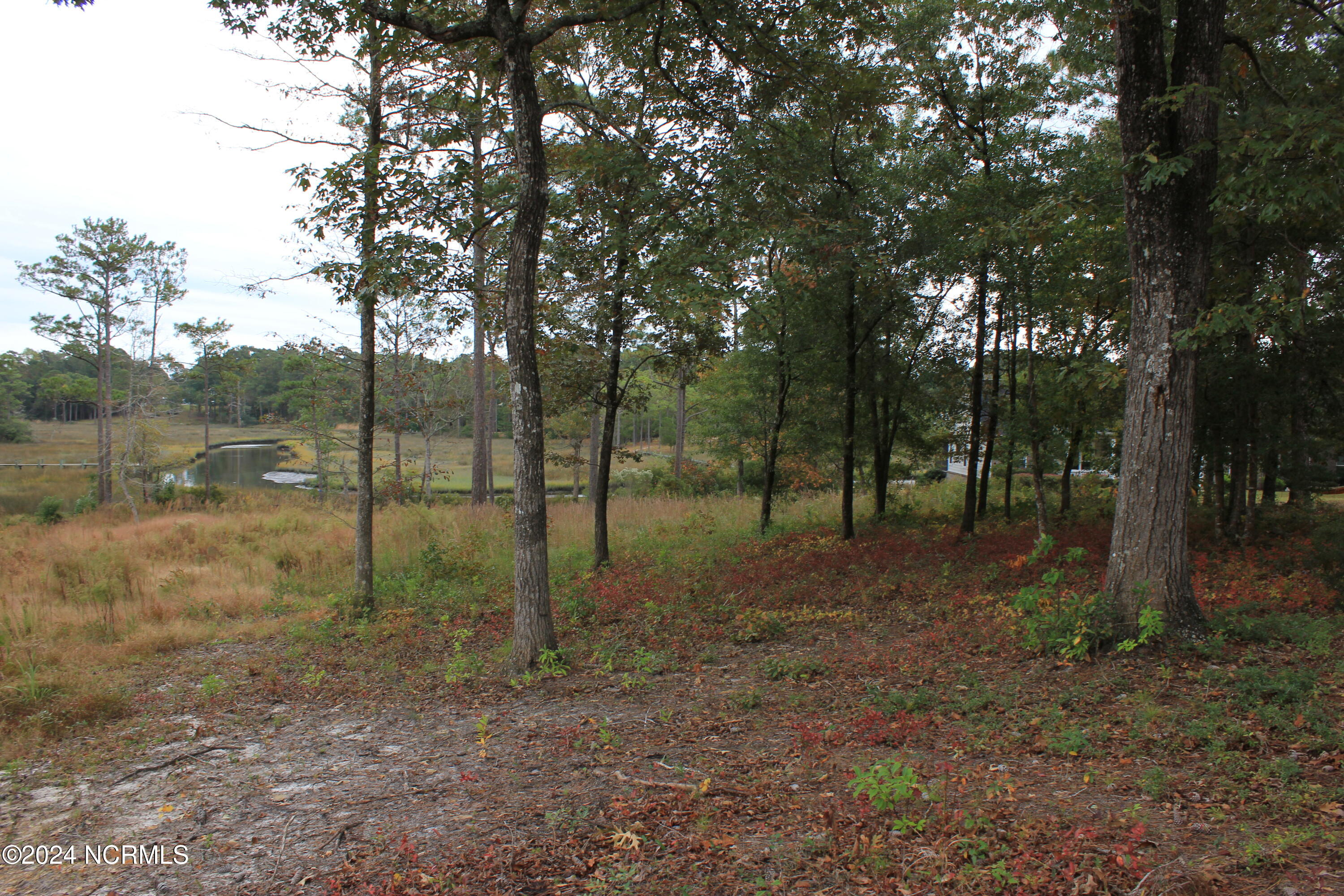 407 Salt Creek Road Property Photo 11