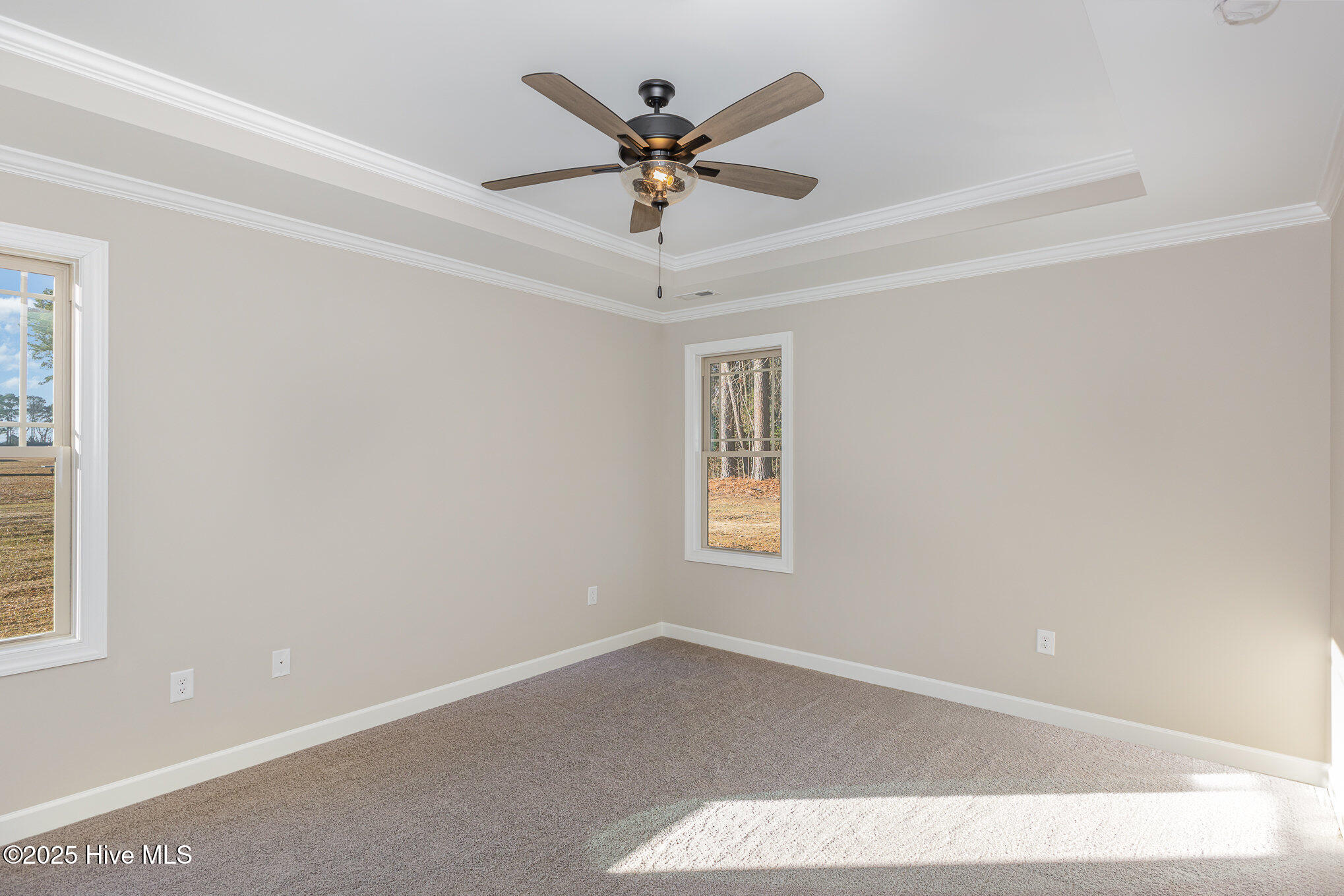1175 Micro Road Property Photo 9