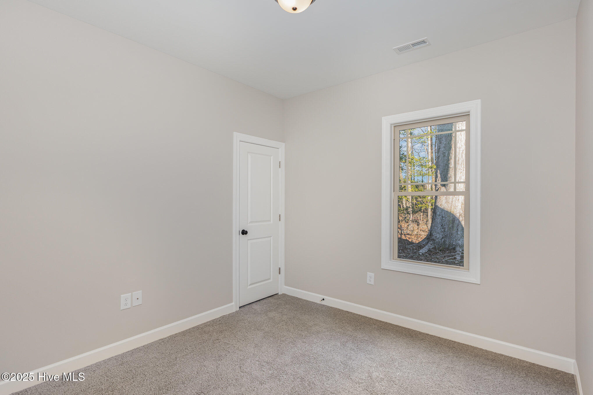 1175 Micro Road Property Photo 12