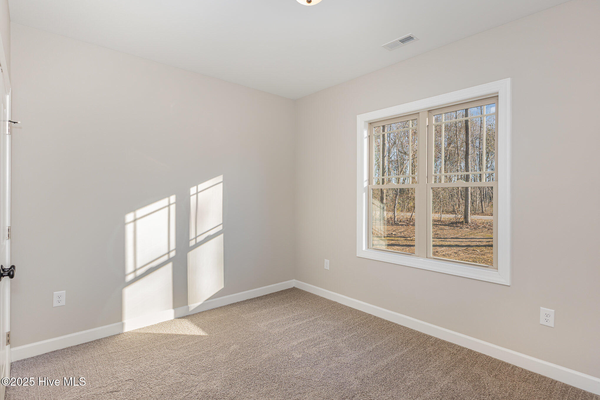 1175 Micro Road Property Photo 13