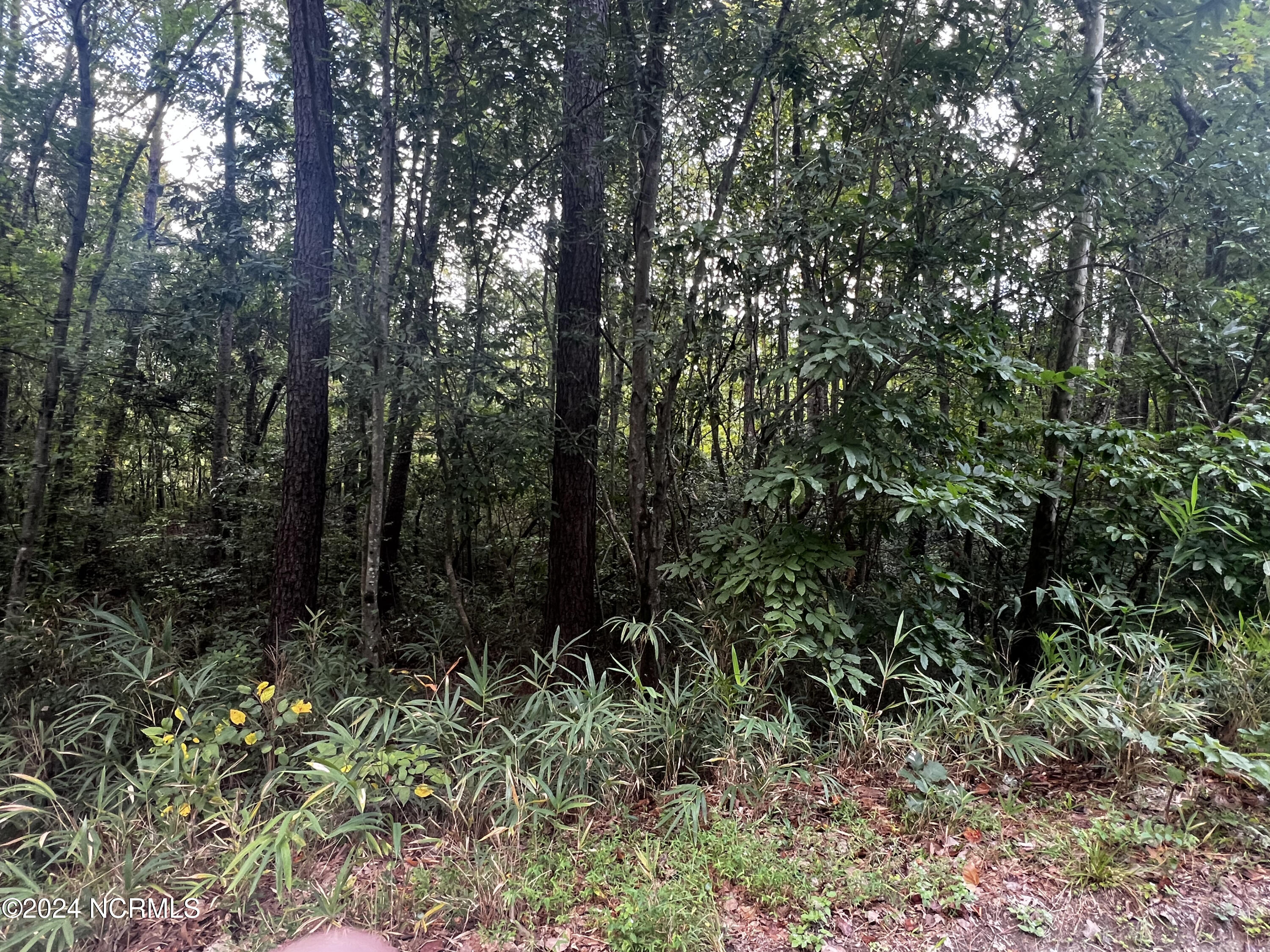 415 Adams Circle Property Photo 1