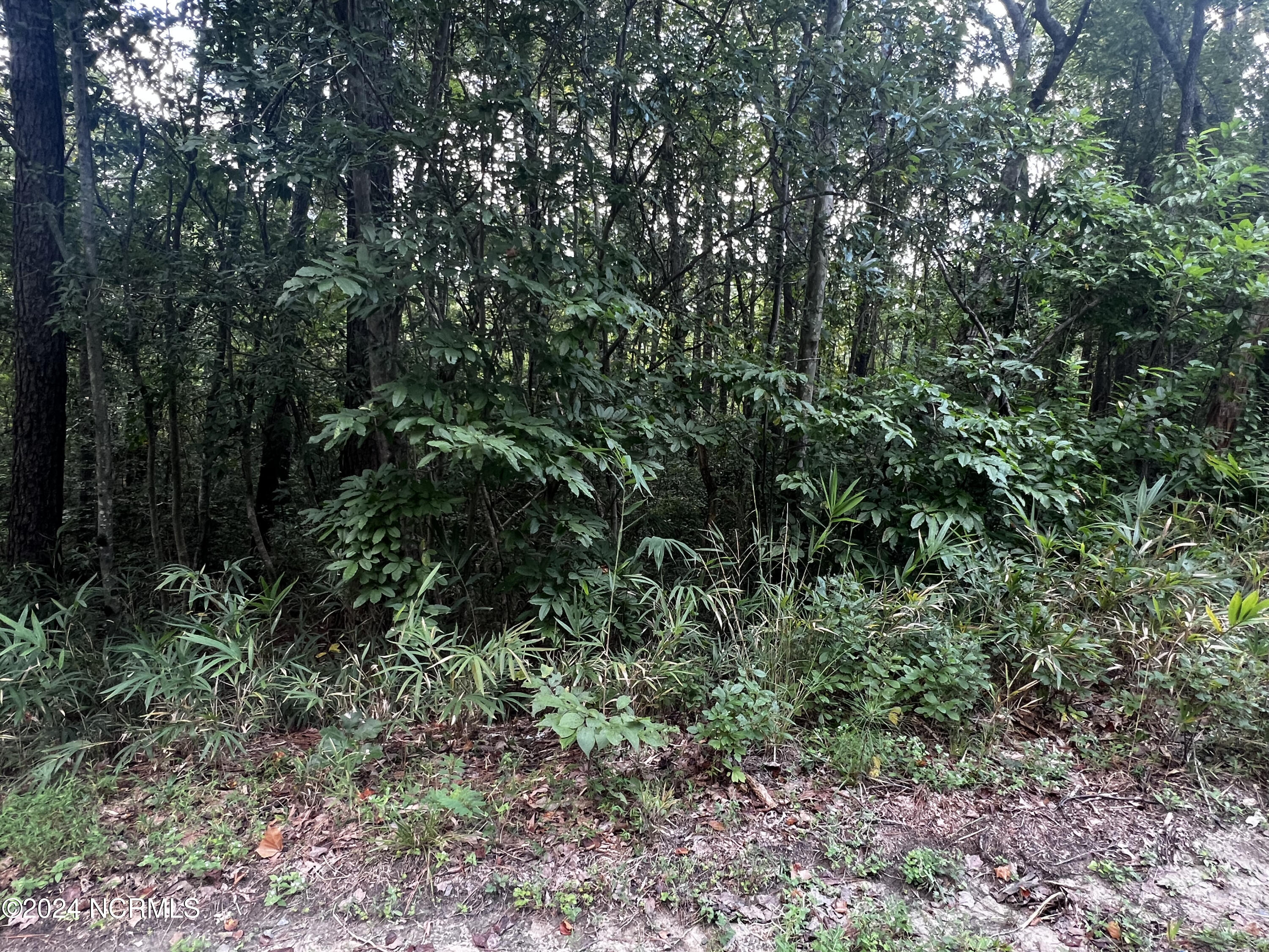 415 Adams Circle Property Photo 2