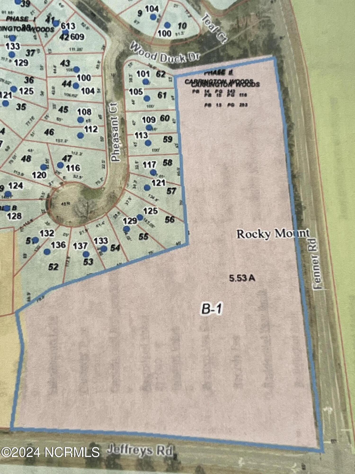 Tbd Fenner At Jeffreys Road Property Photo 1