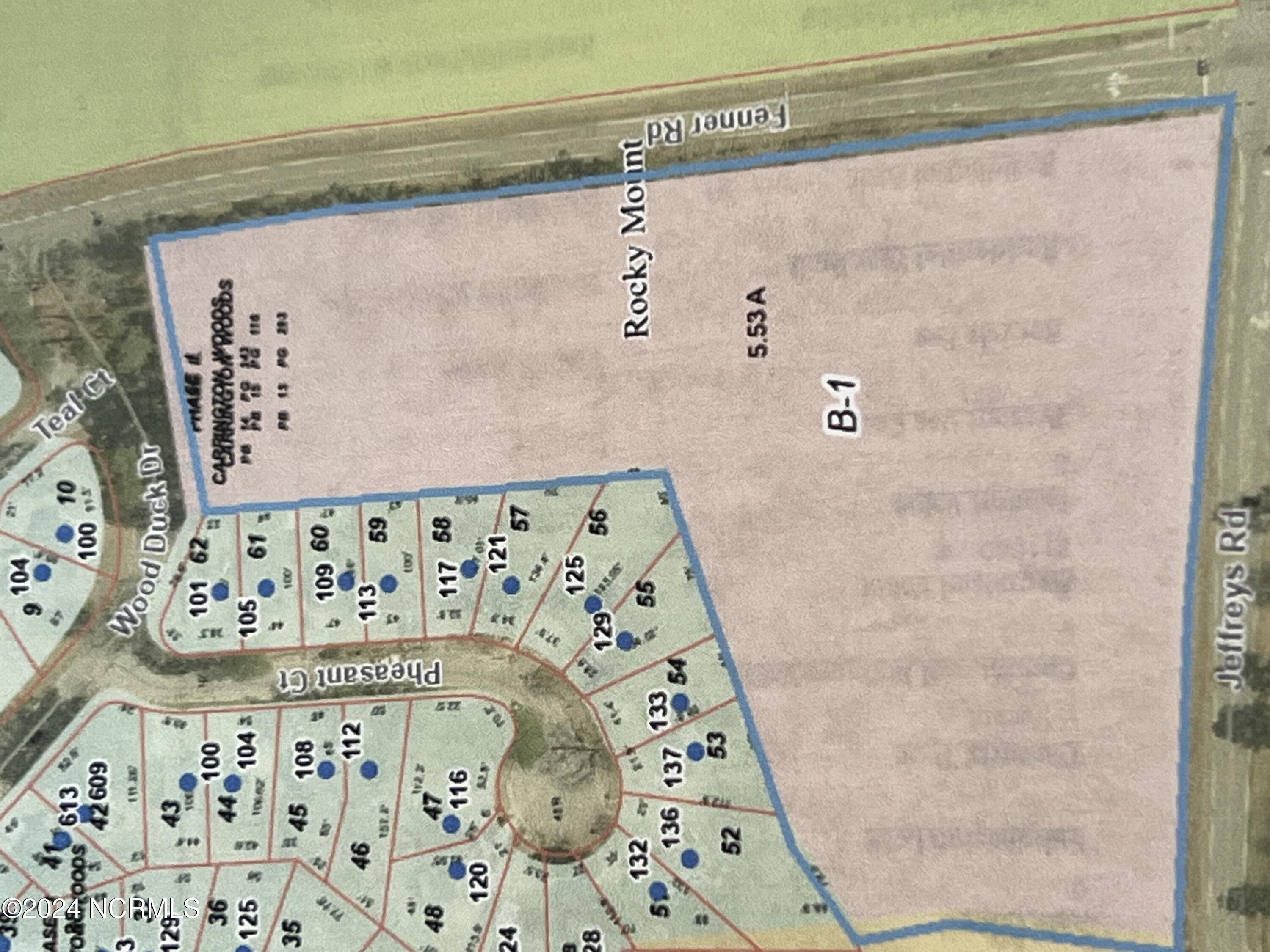 Tbd Fenner At Jeffreys Road Property Photo 2