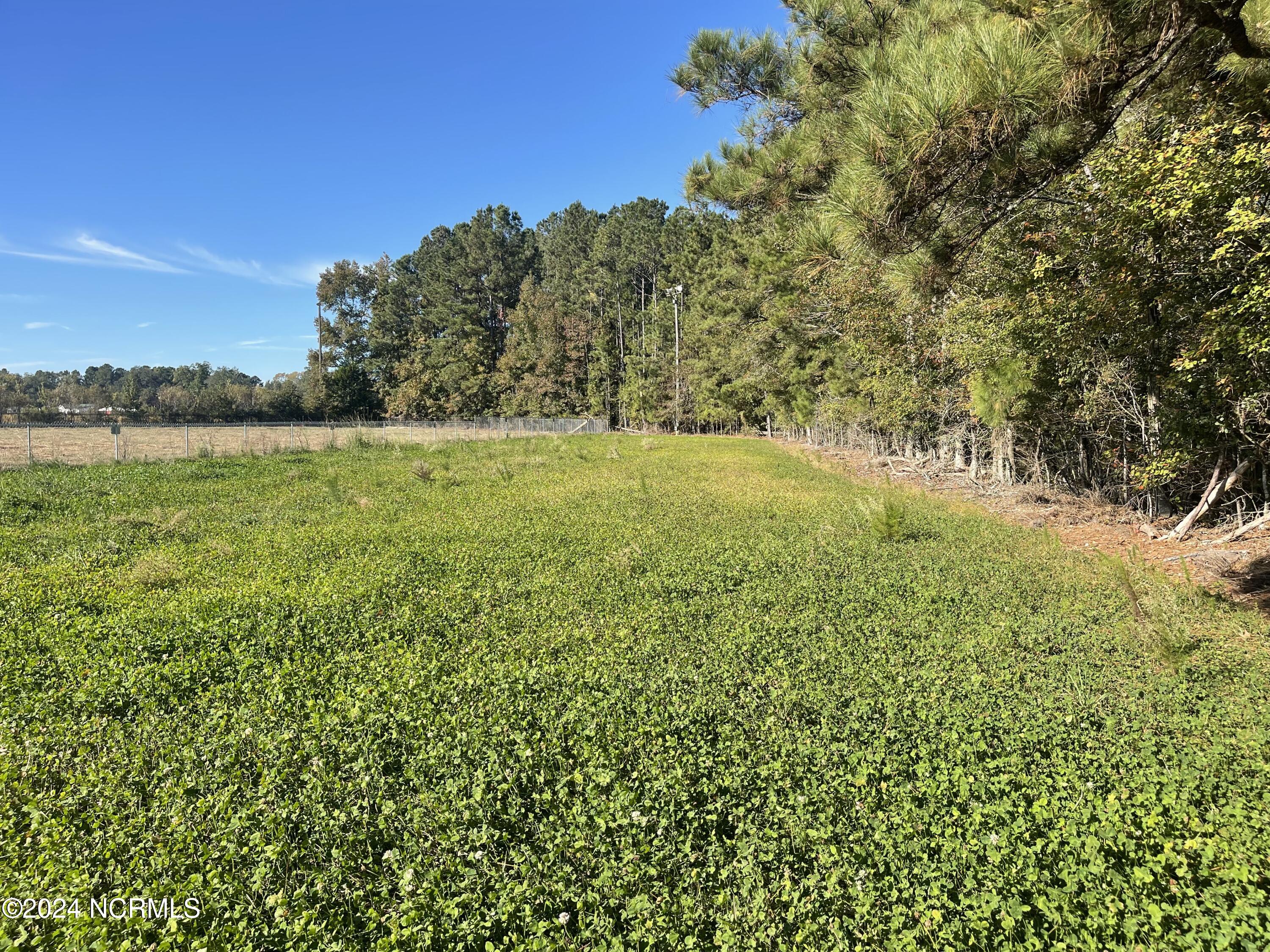 6879 Haynes Lennon Highway Property Photo 2