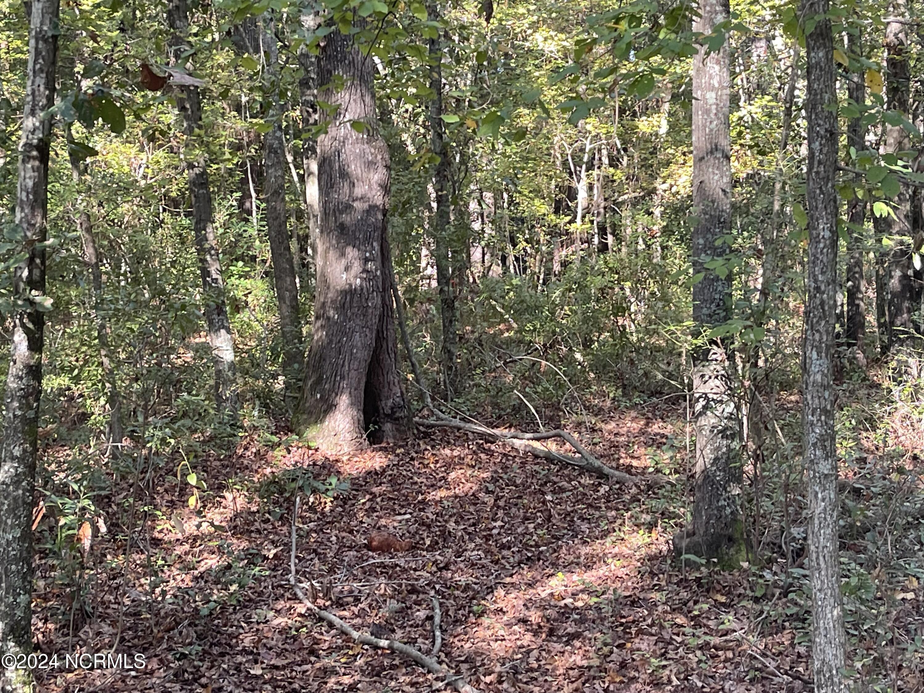 6879 Haynes Lennon Highway Property Photo 6