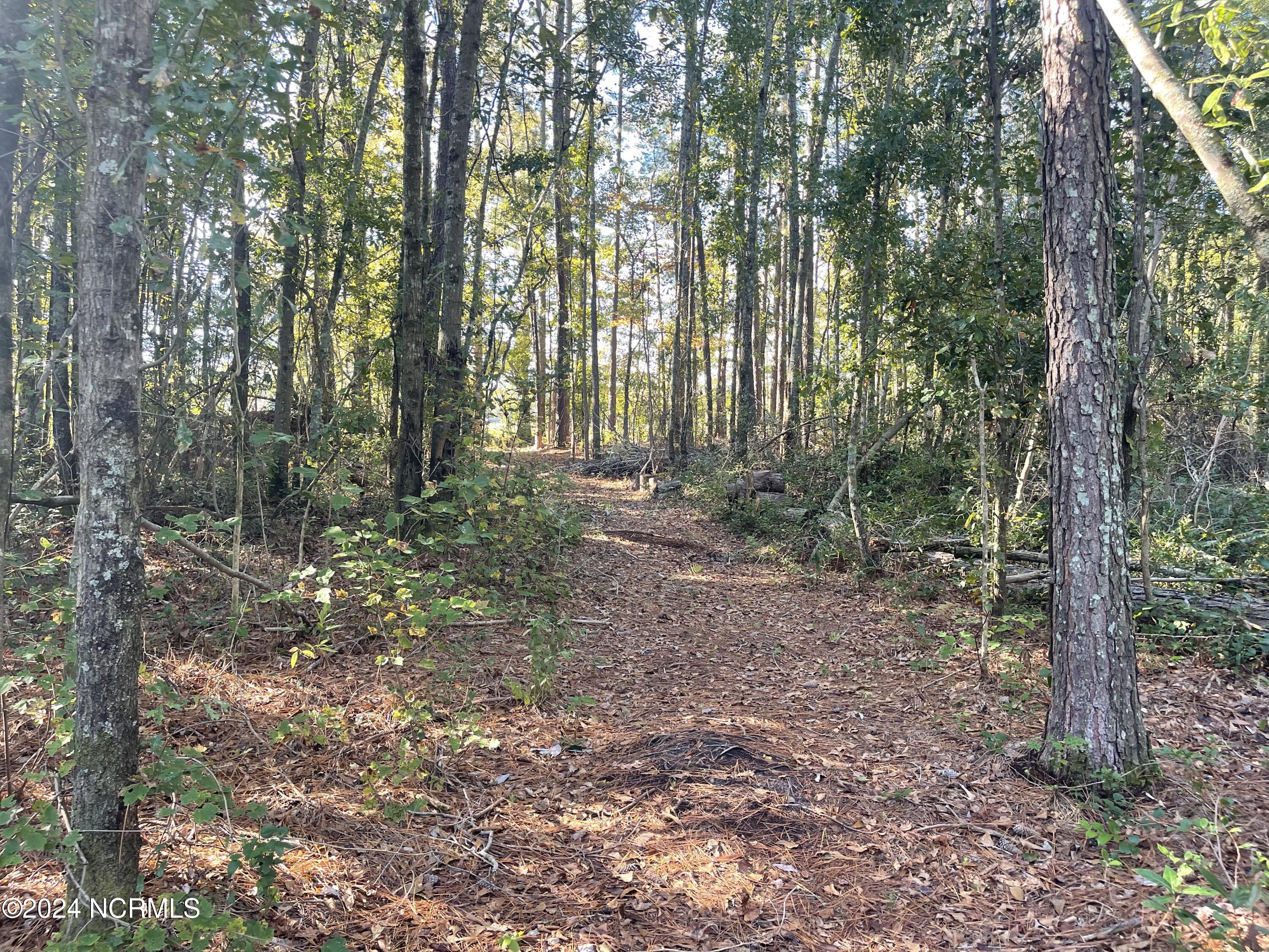 6879 Haynes Lennon Highway Property Photo 7