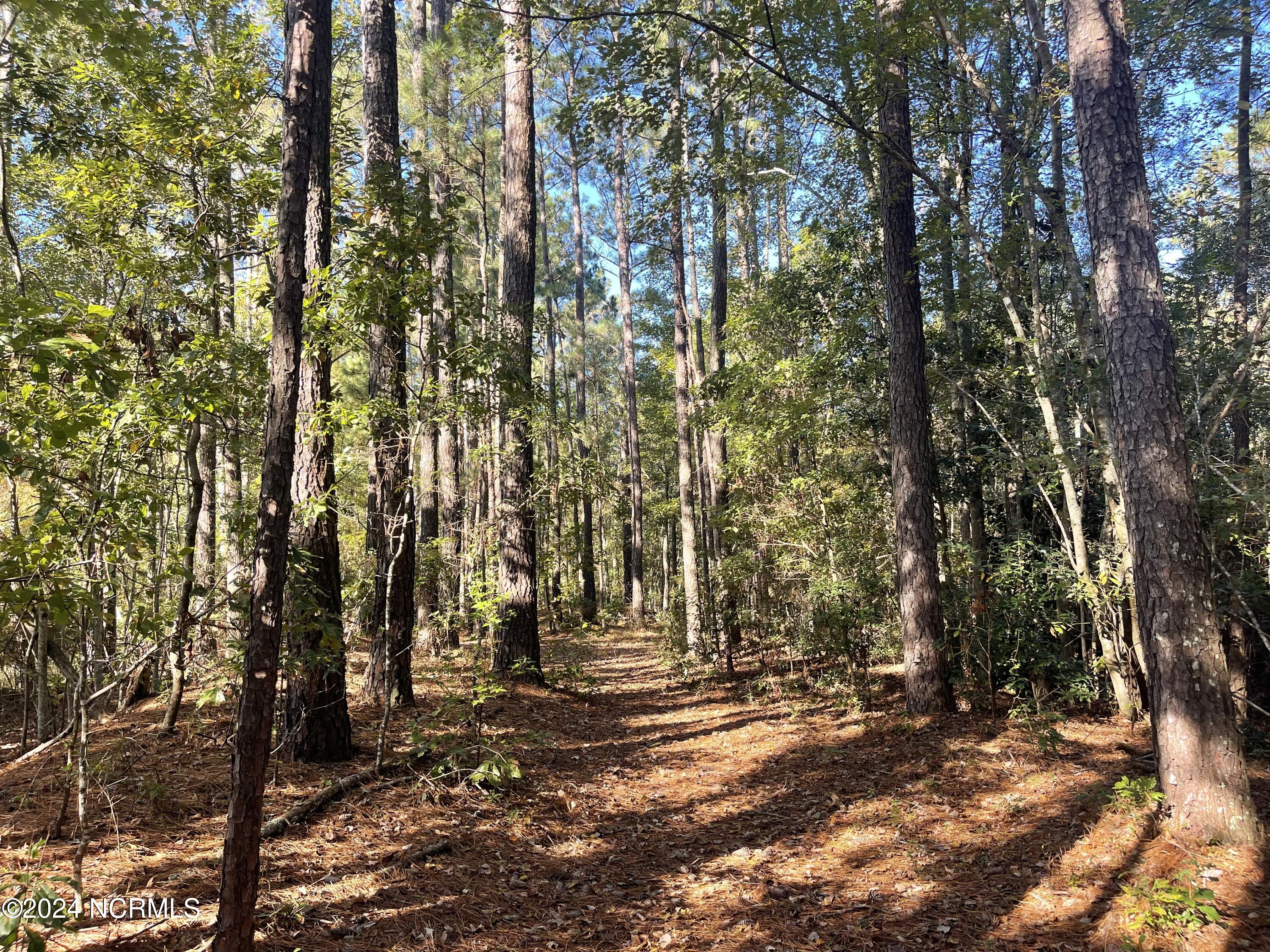 6879 Haynes Lennon Highway Property Photo 8