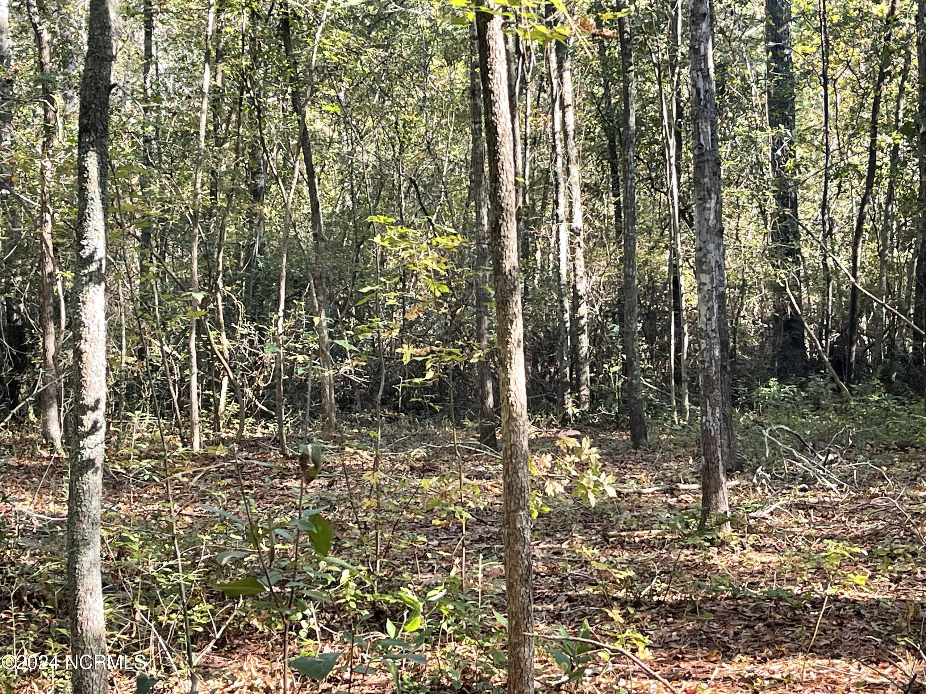 6879 Haynes Lennon Highway Property Photo 9