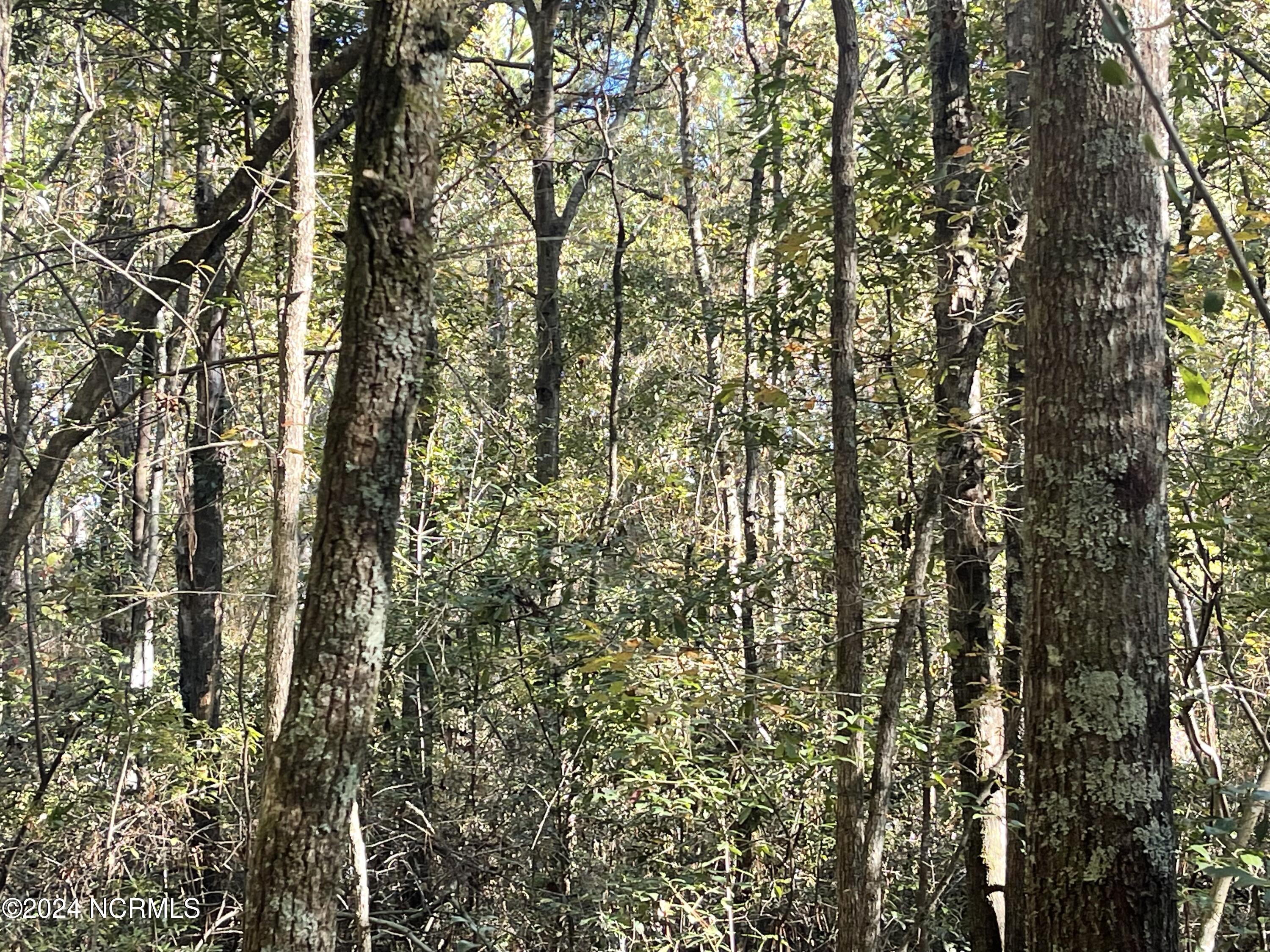 6879 Haynes Lennon Highway Property Photo 10