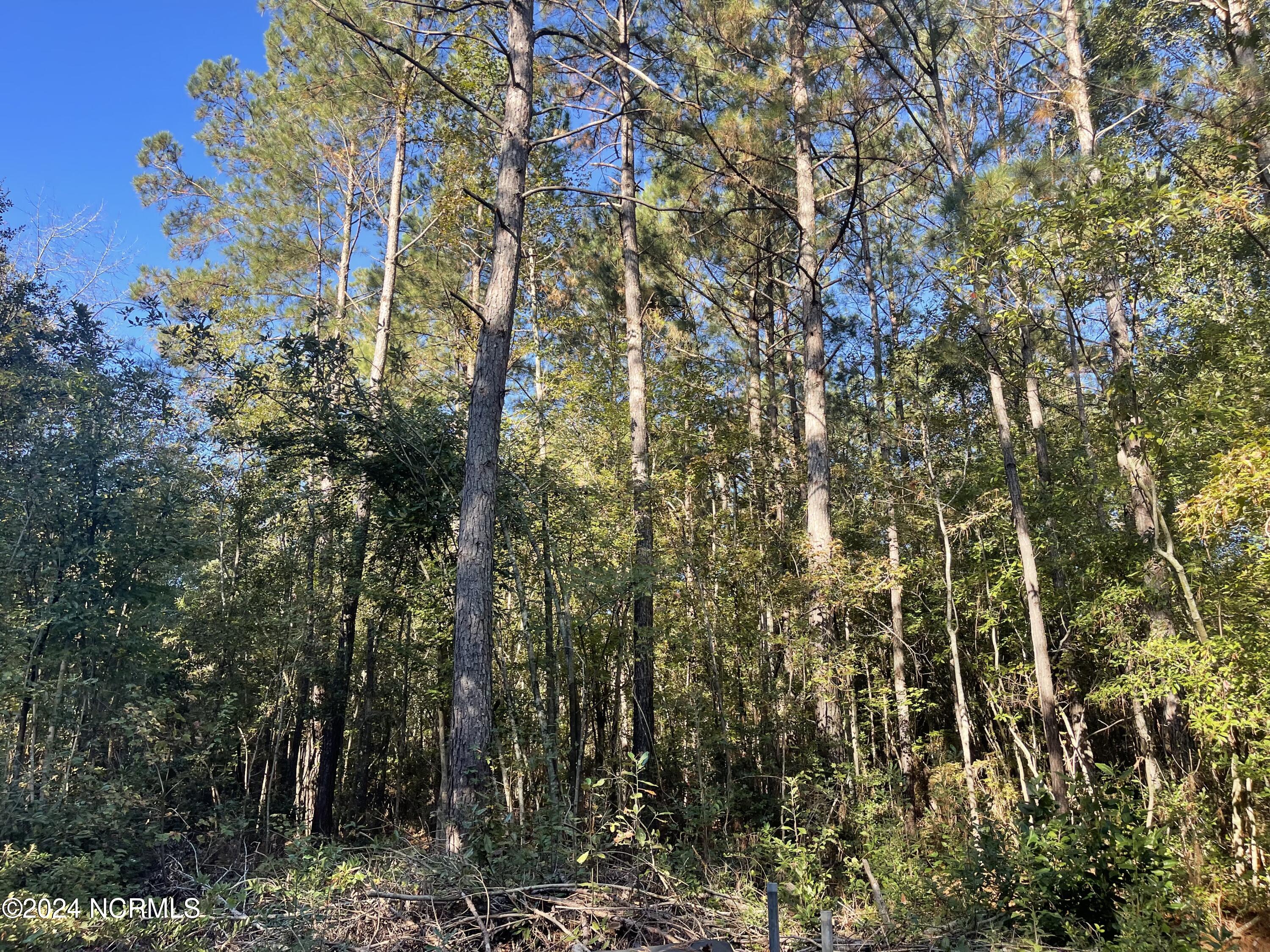 6879 Haynes Lennon Highway Property Photo 11