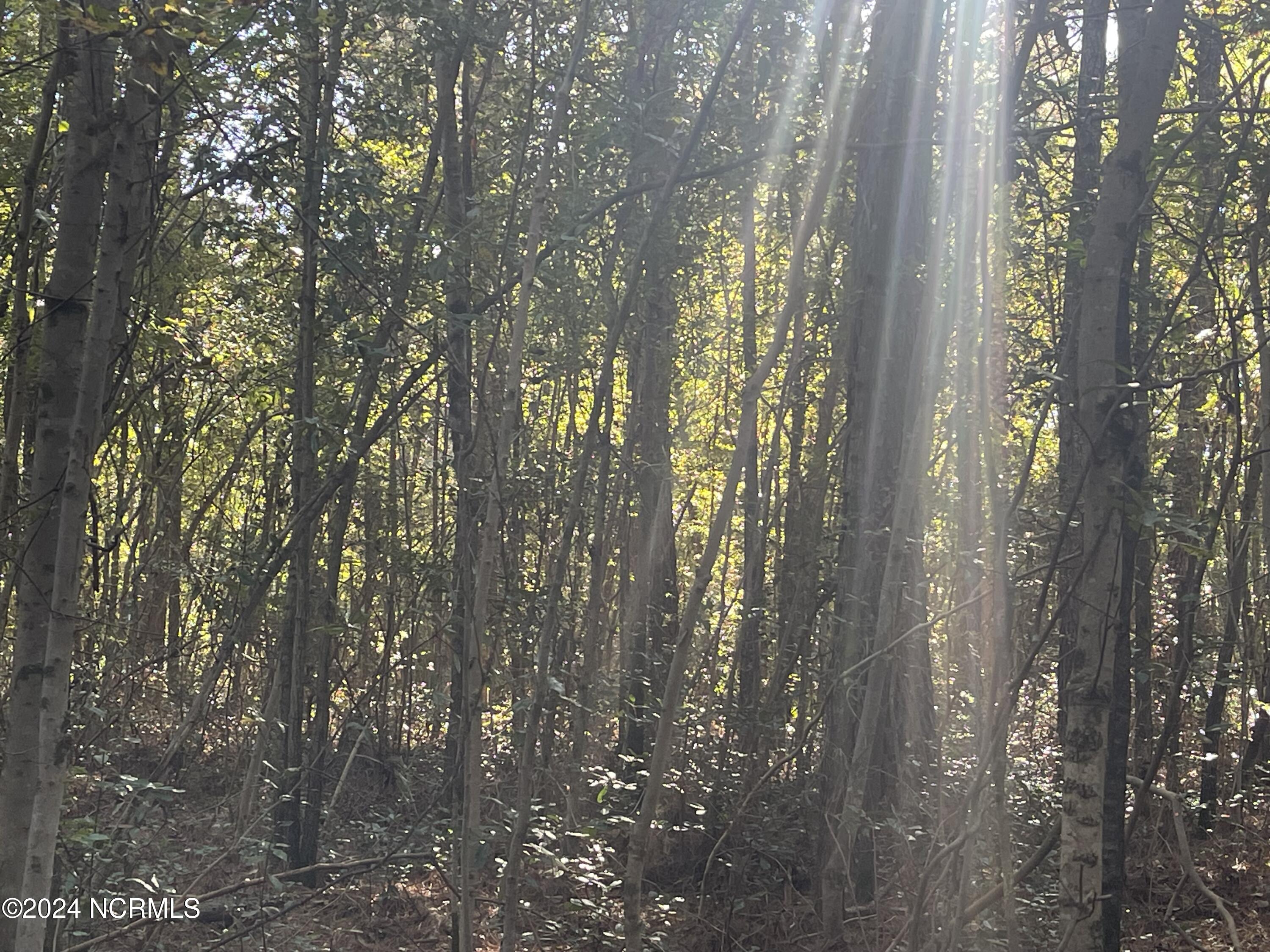 6879 Haynes Lennon Highway Property Photo 14