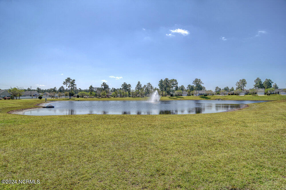 1932 Island Pine Way Property Photo 31