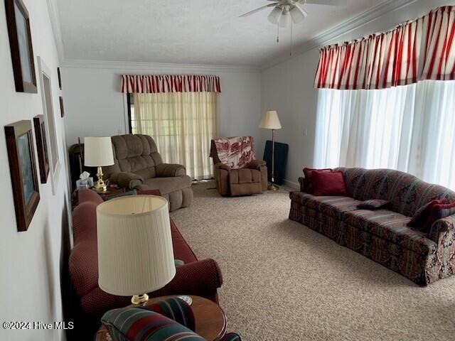 106 Summer Pl Lane Property Photo 10