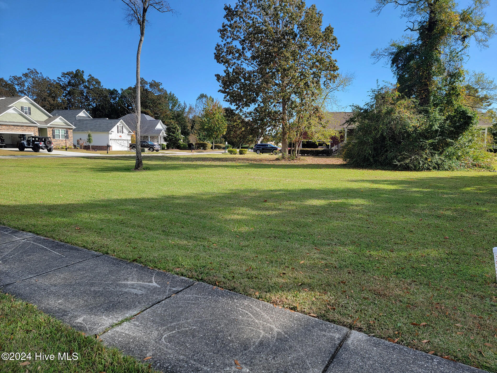 1119 Moultrie Drive Property Photo 2
