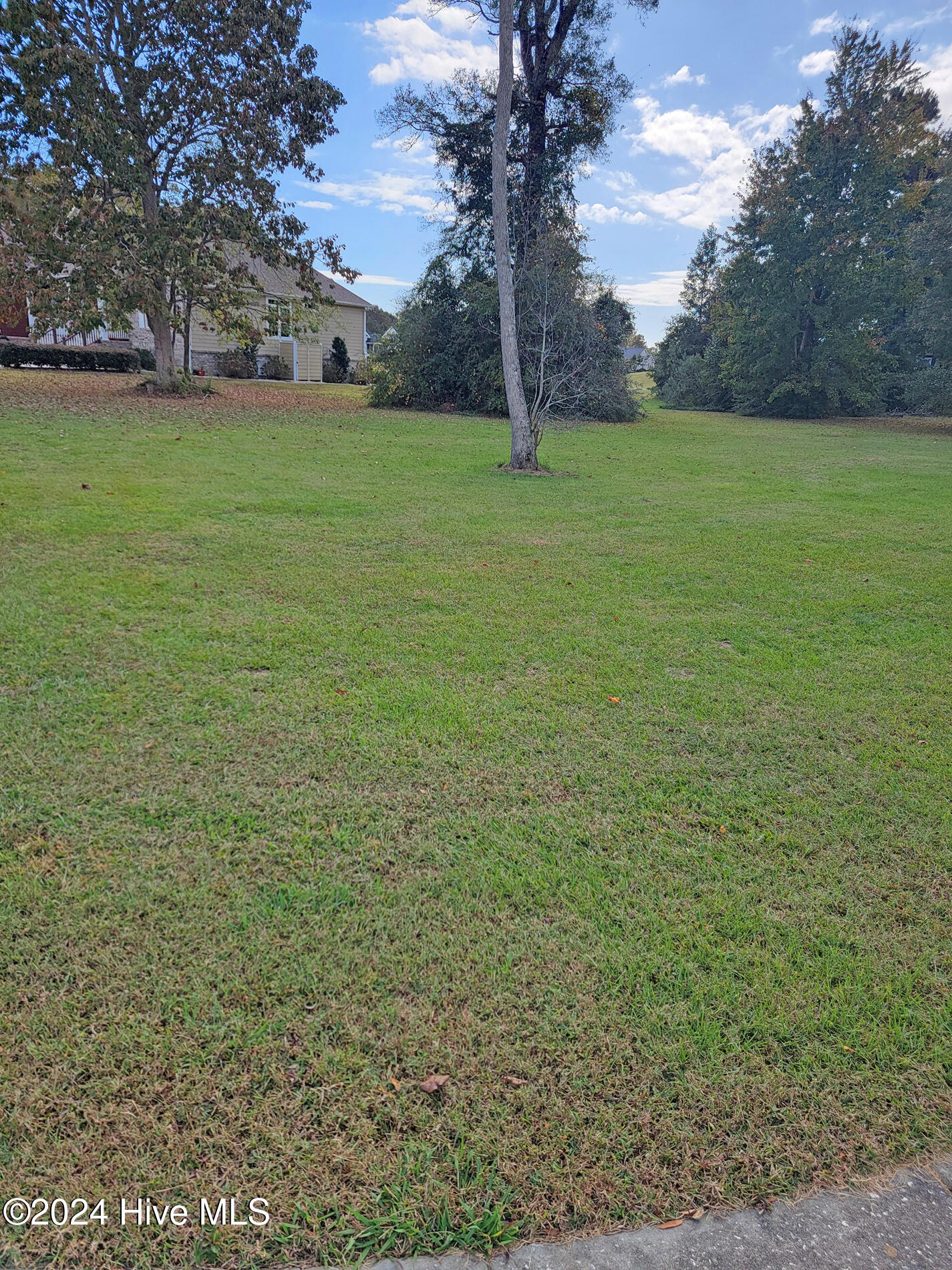 1119 Moultrie Drive Property Photo 3