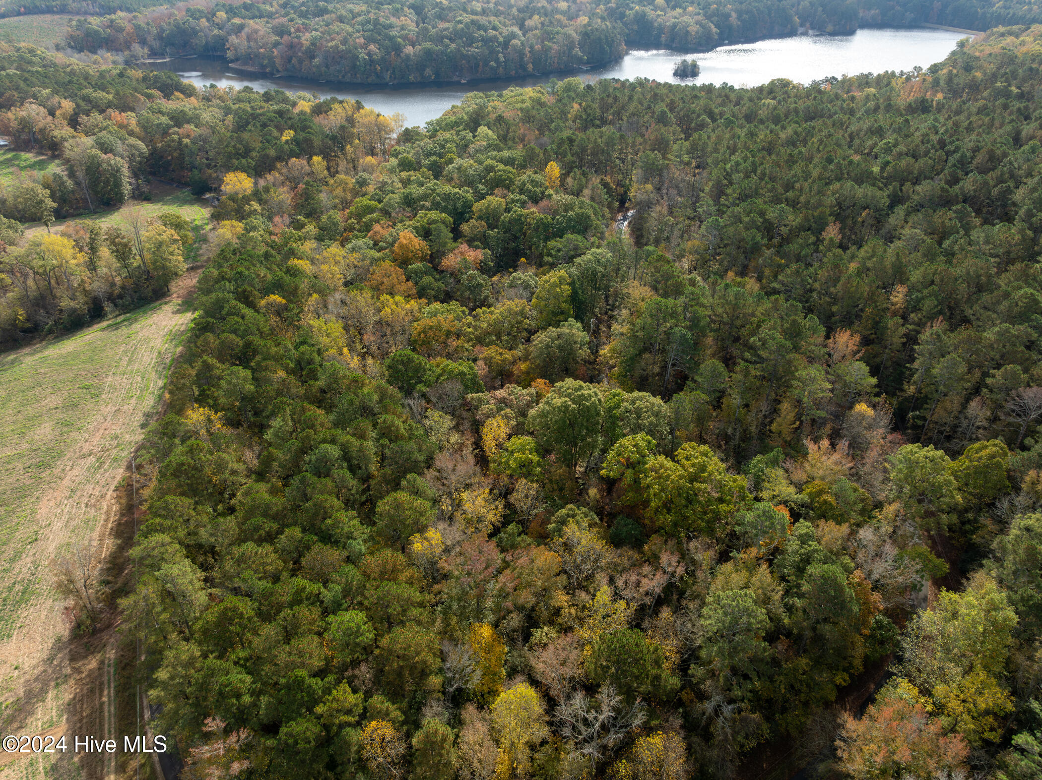 302 Grey Fox Road Property Photo 4