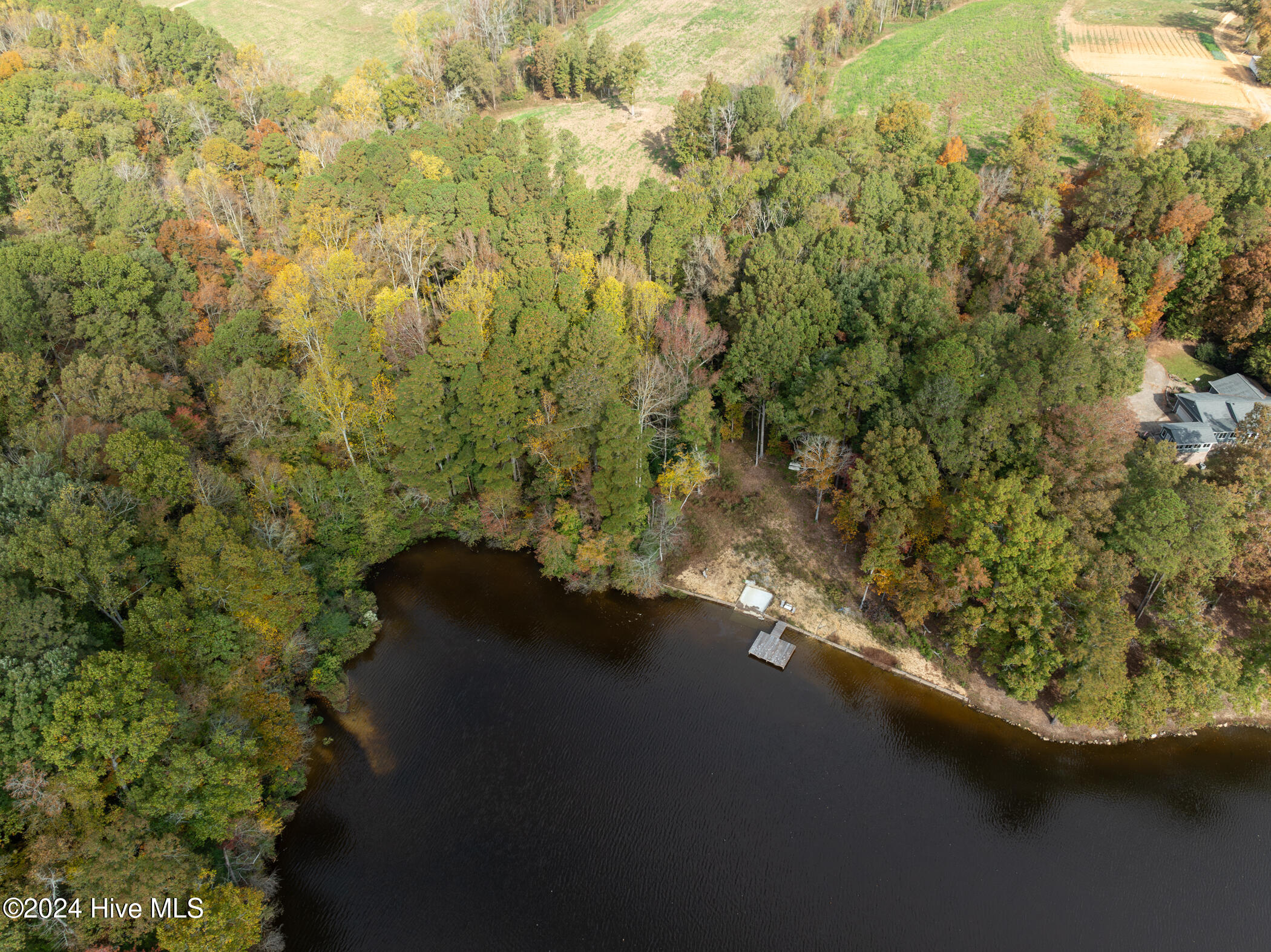 302 Grey Fox Road Property Photo 5
