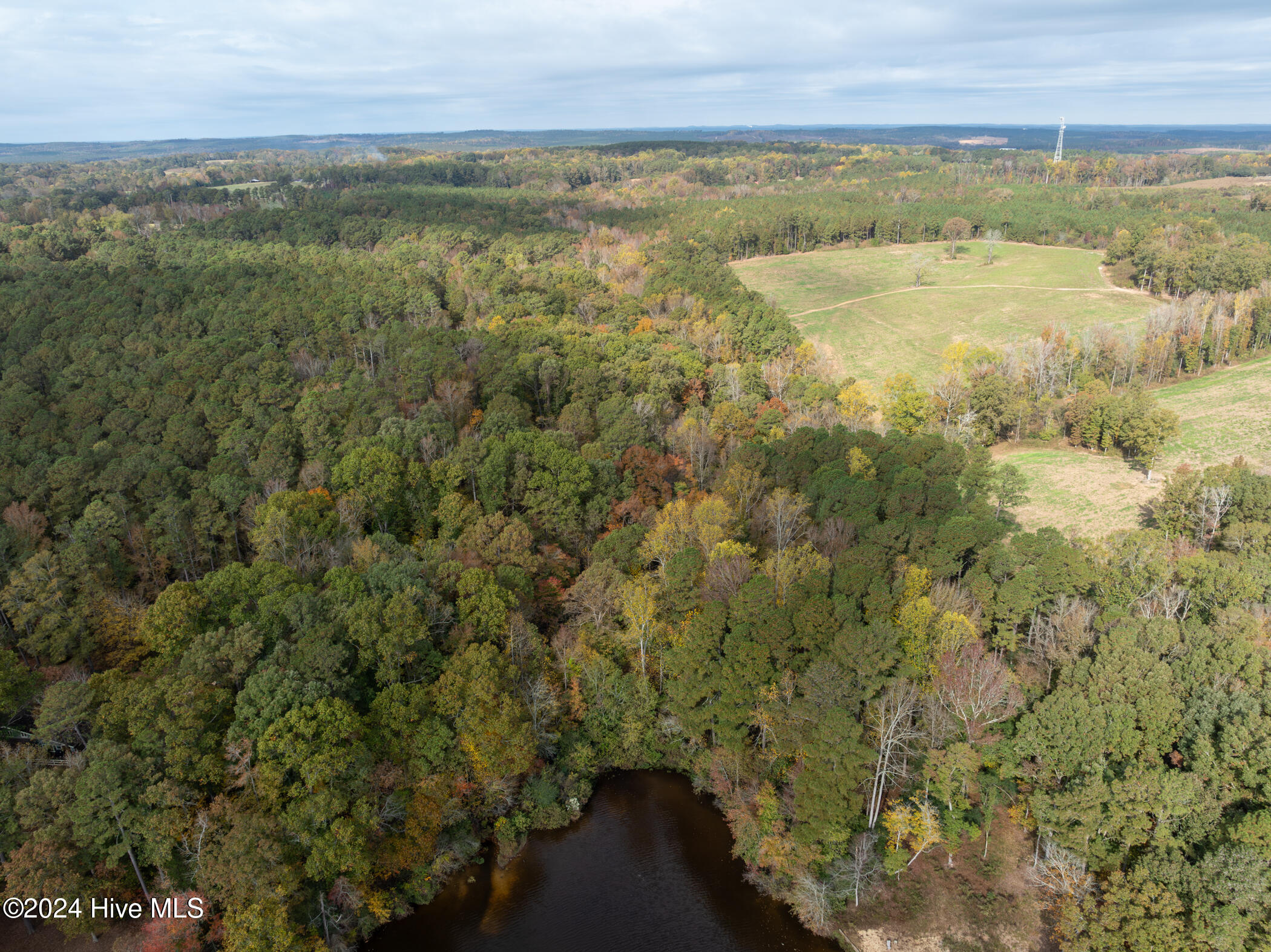302 Grey Fox Road Property Photo 16